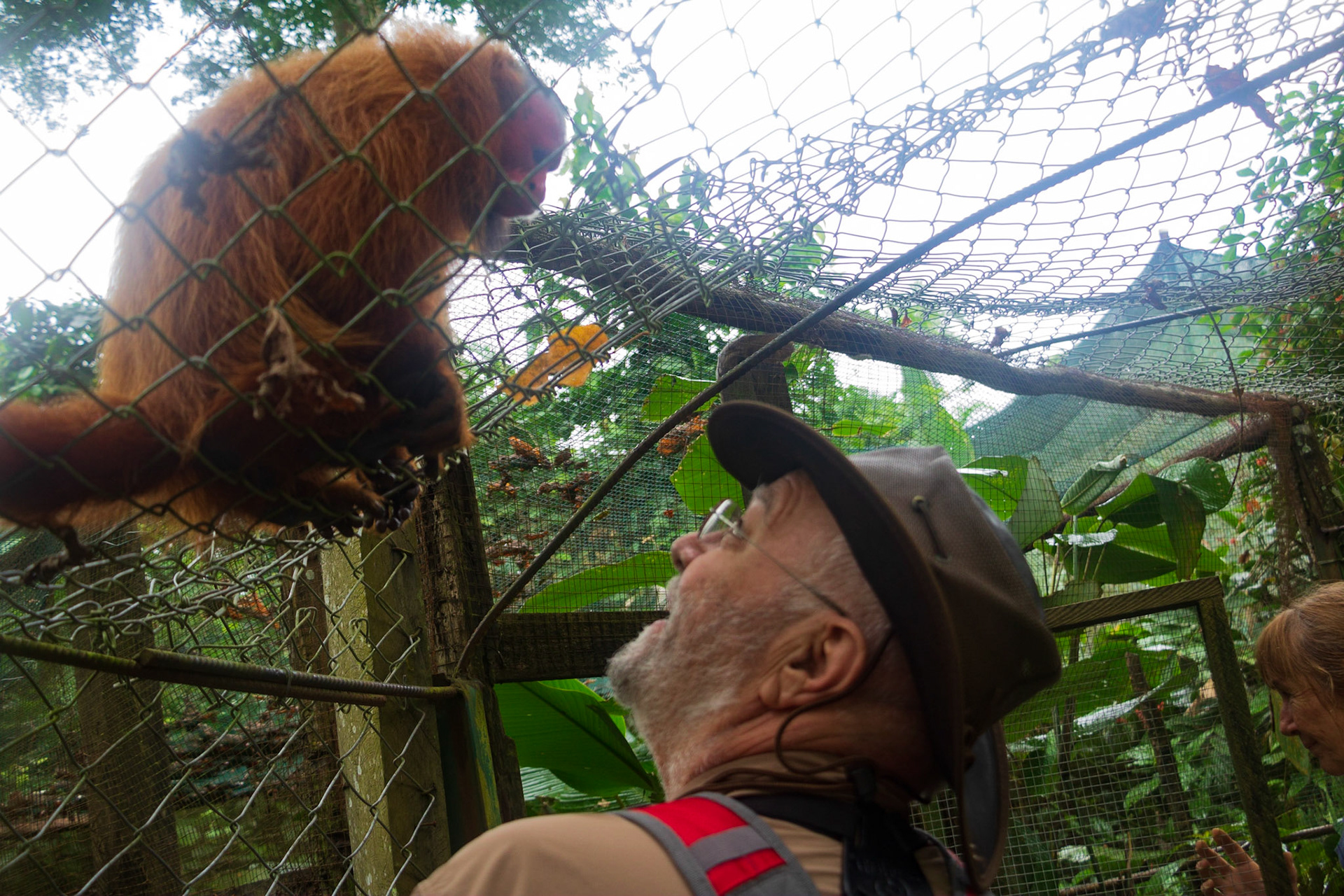 Pilpintuwasi Butterfly Farm operated by Austrian-born Gudrun Sperrer near Padre Cocha. Many "rescue animals" liberated from illegal traders are housed there.