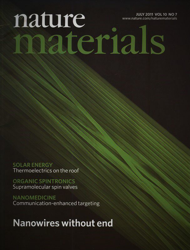 A new fabrication technique in Nanotechnology