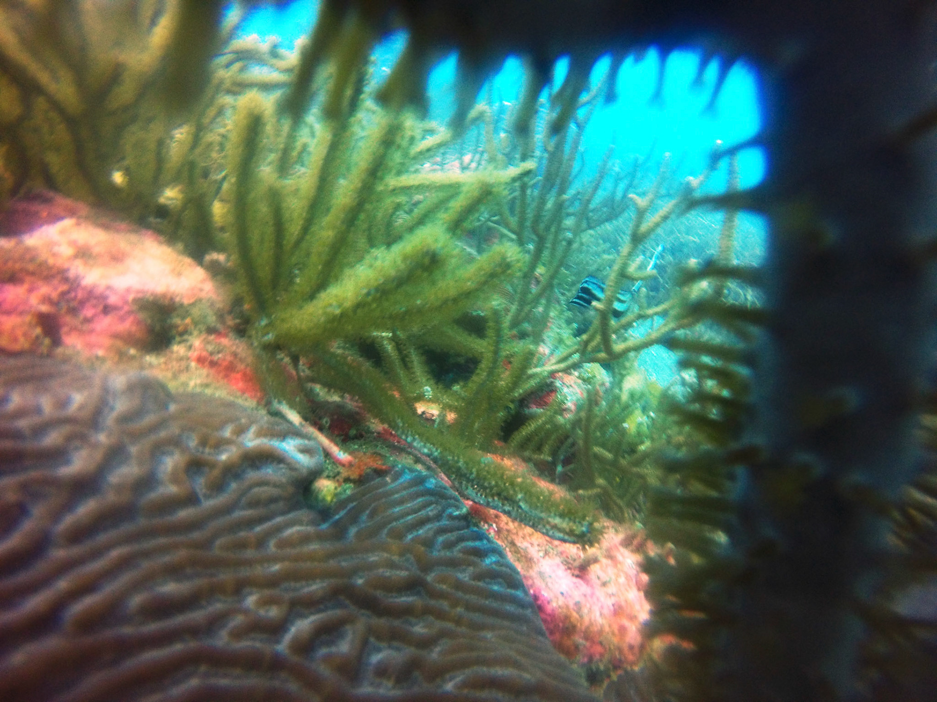 DCIM\100GOPRO\GOPR8700.