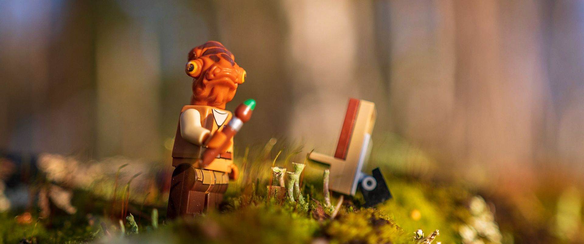 26/52 - Quality Painting