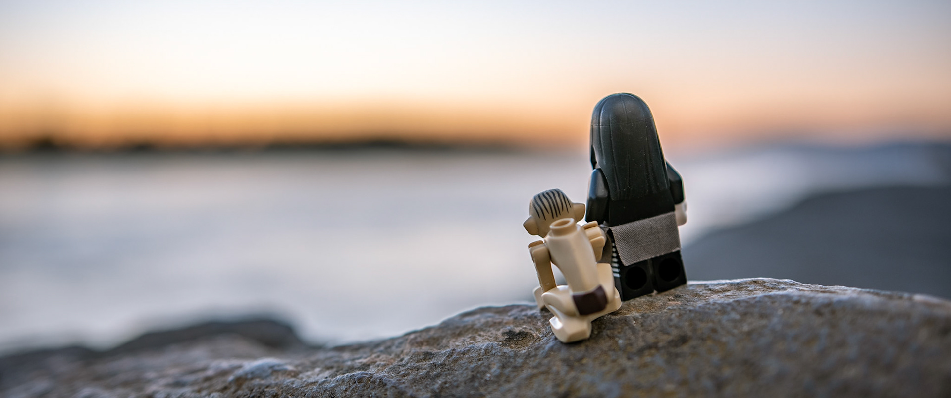 49/52 - Compassion of a friend