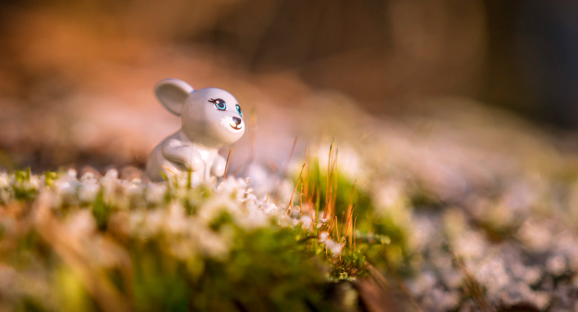 15/52 - Respect the Wilderness