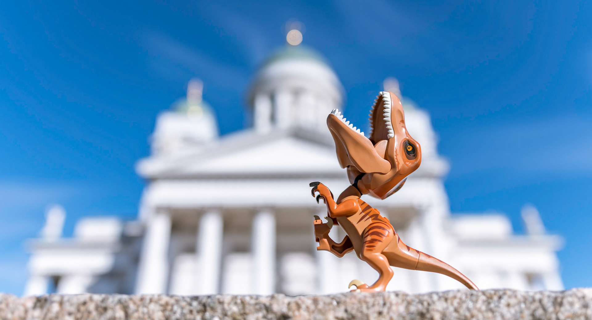 16/52 - Flexibility of a T-Rap