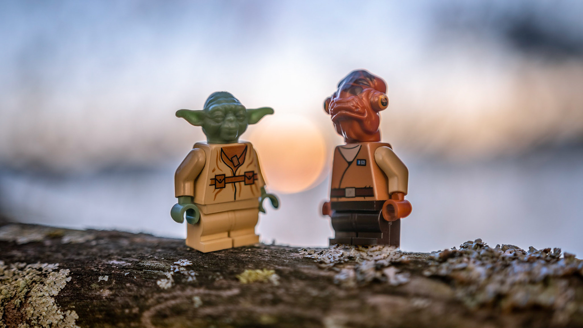 43/52 - Equality in shortness