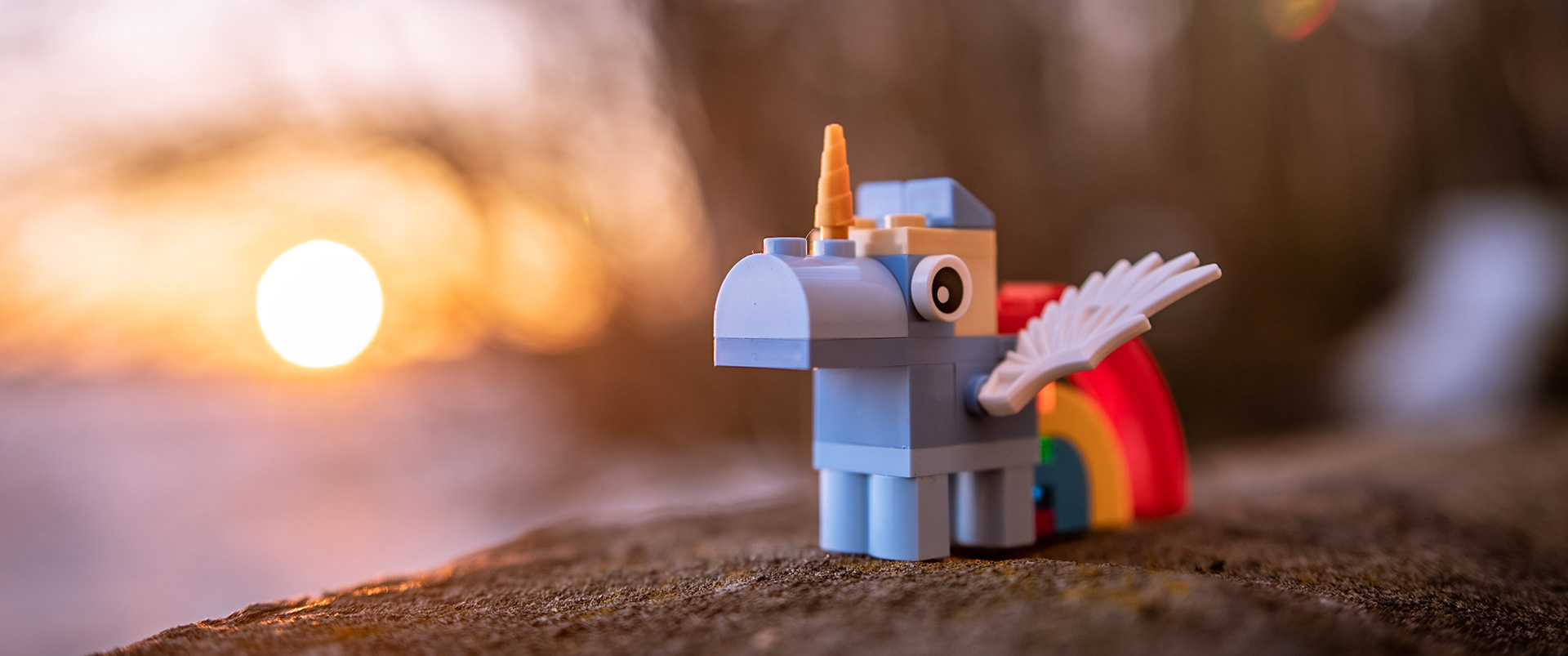 21/52 - Wealth is to be found at the end of the Rainbow