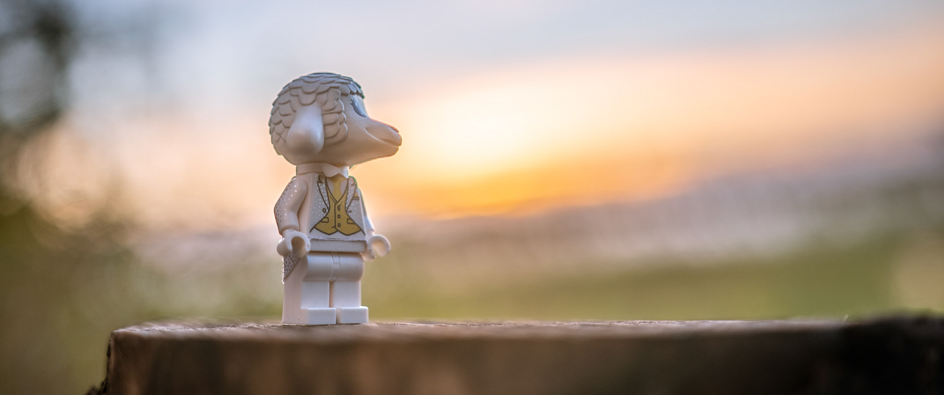 39/52 - Faith in your own future