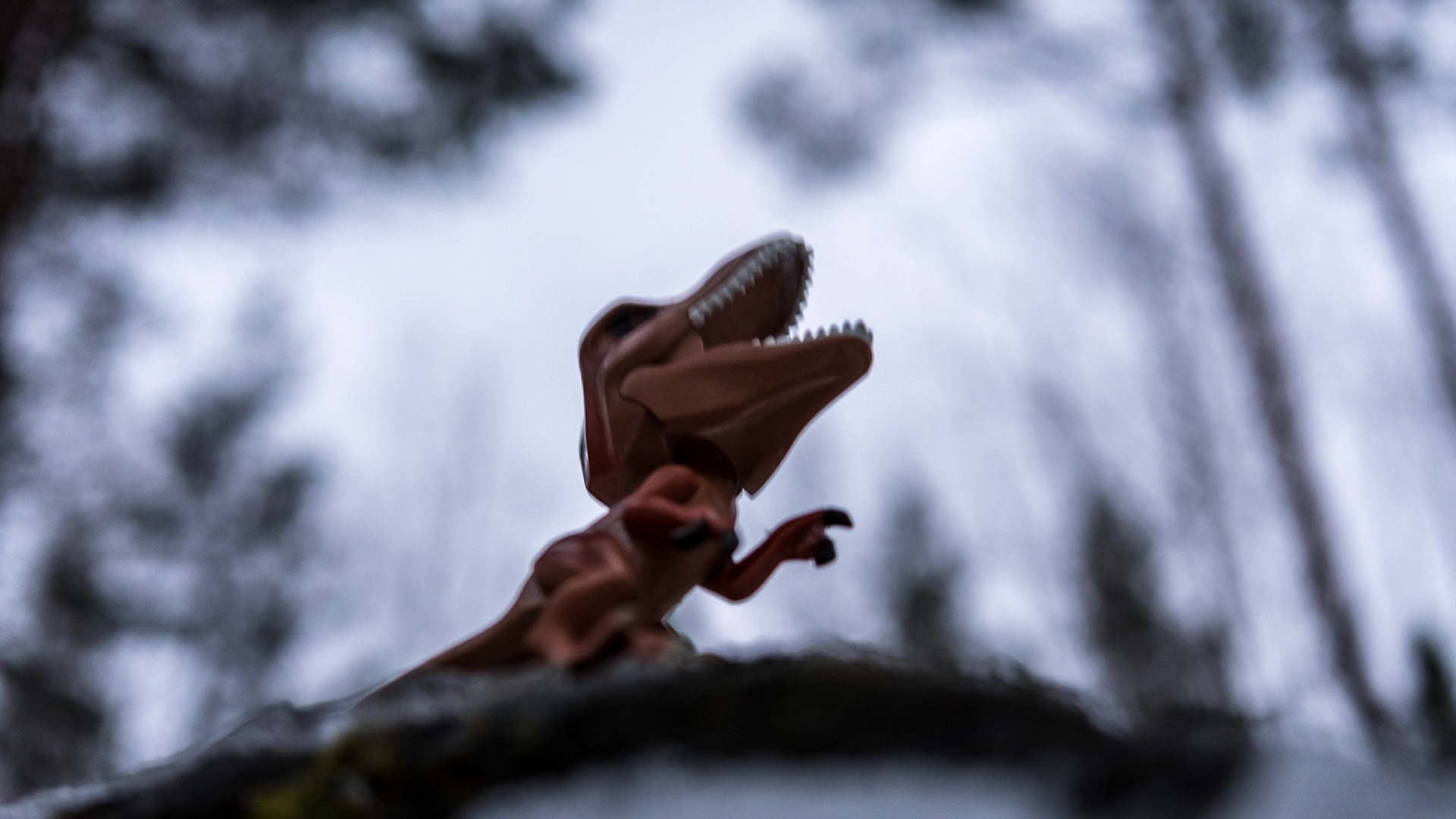 30/52 - When nothing works and you feel Anger against yourself