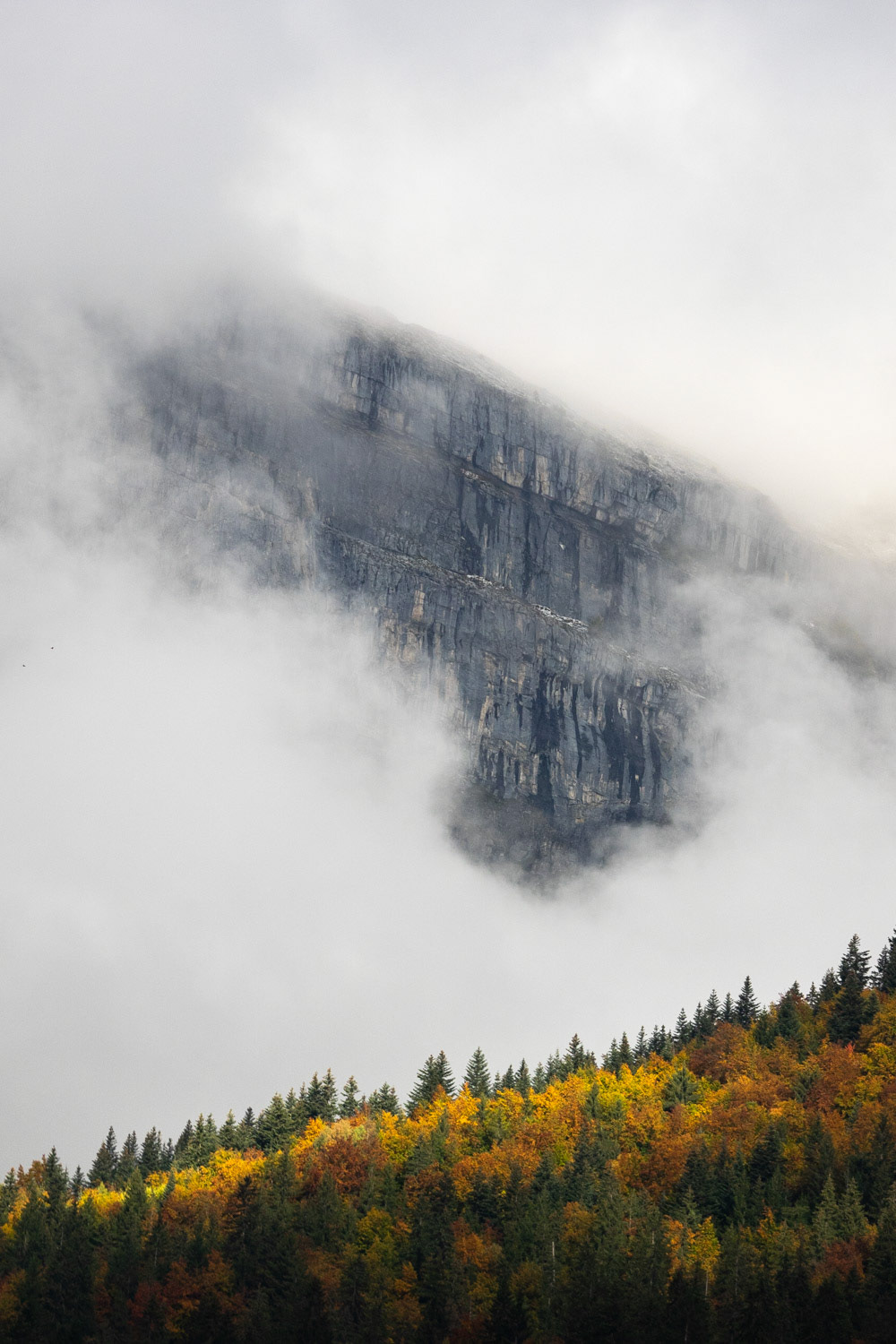 L'automne