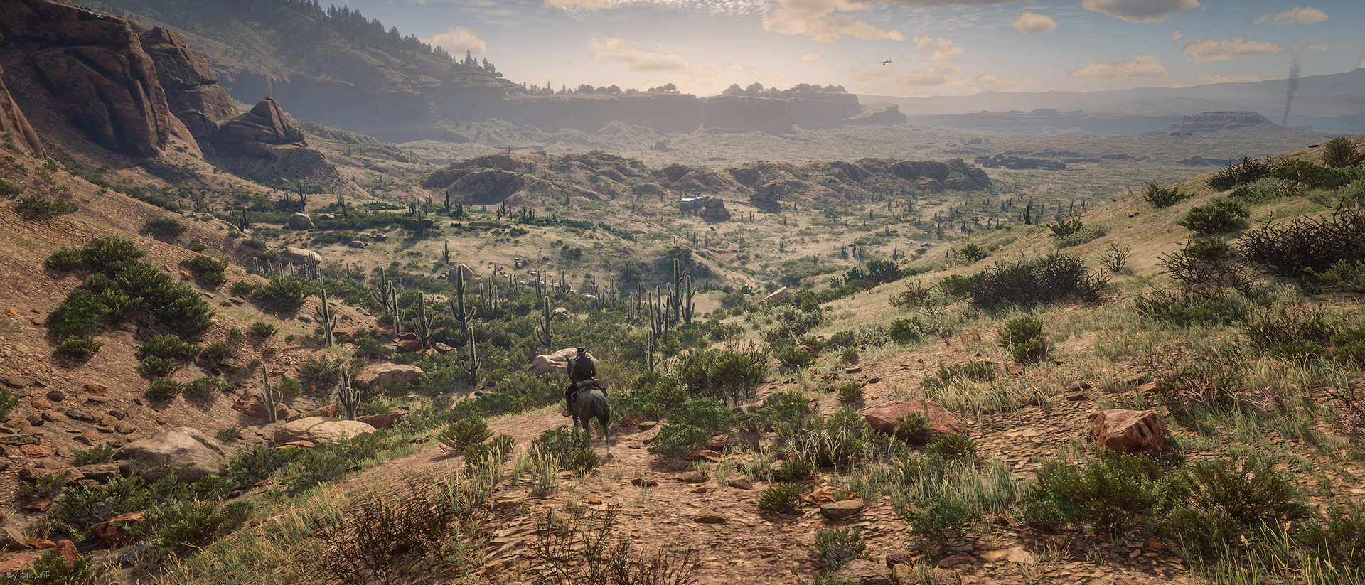 Frans Bouma - Red Dead Redemption 2