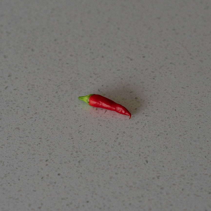The first chilli off my plant. Its not big, but it is hot