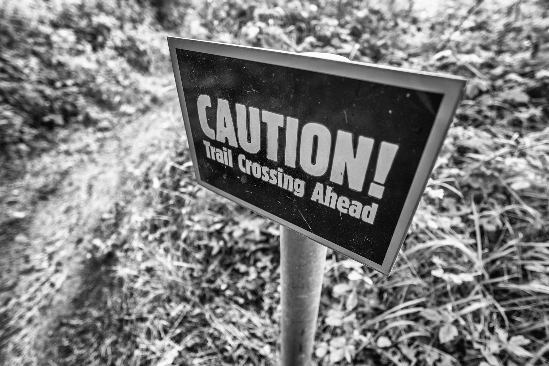 A slightly different path today for our walk