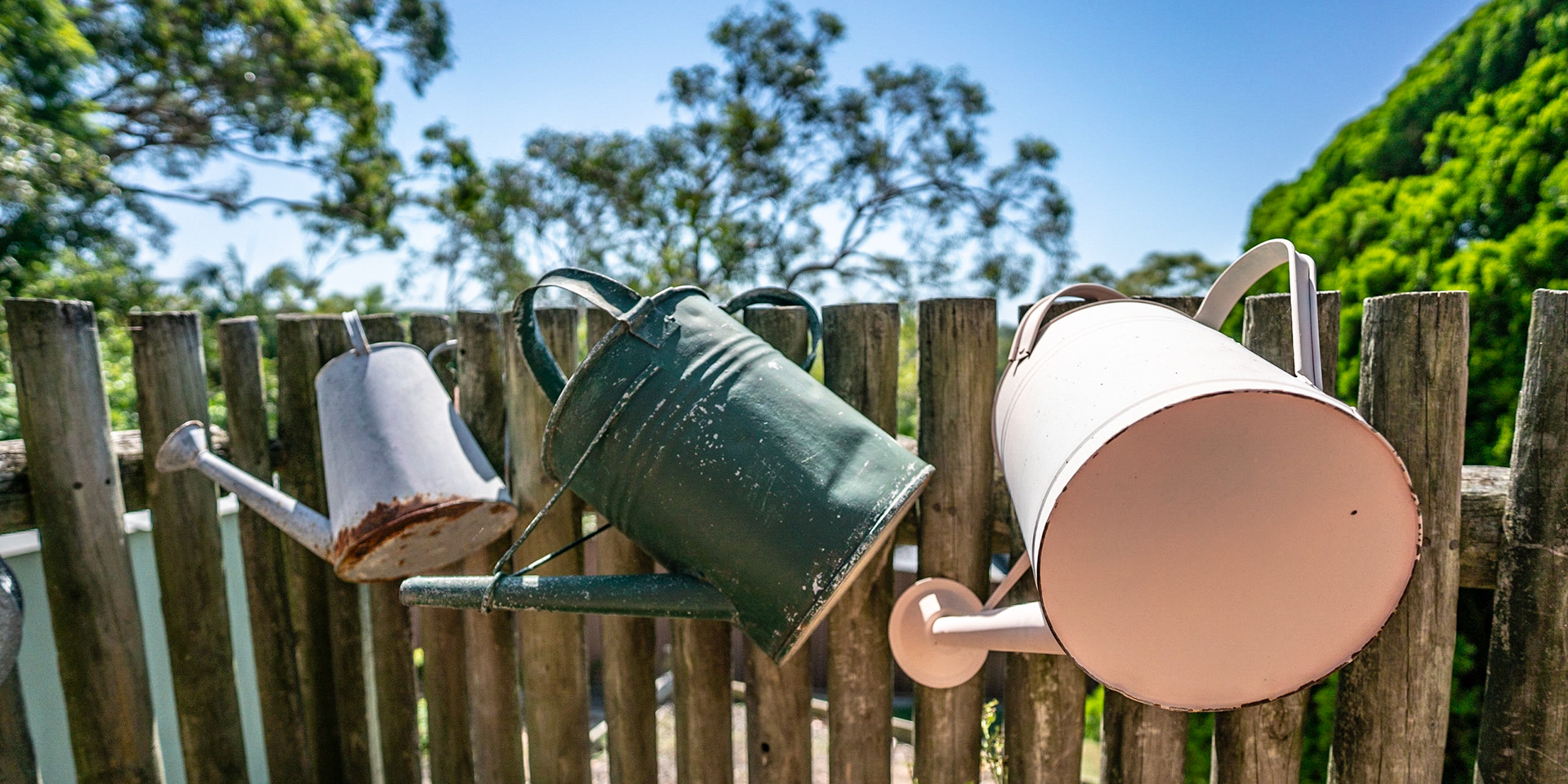 The old watering cans in the back garden