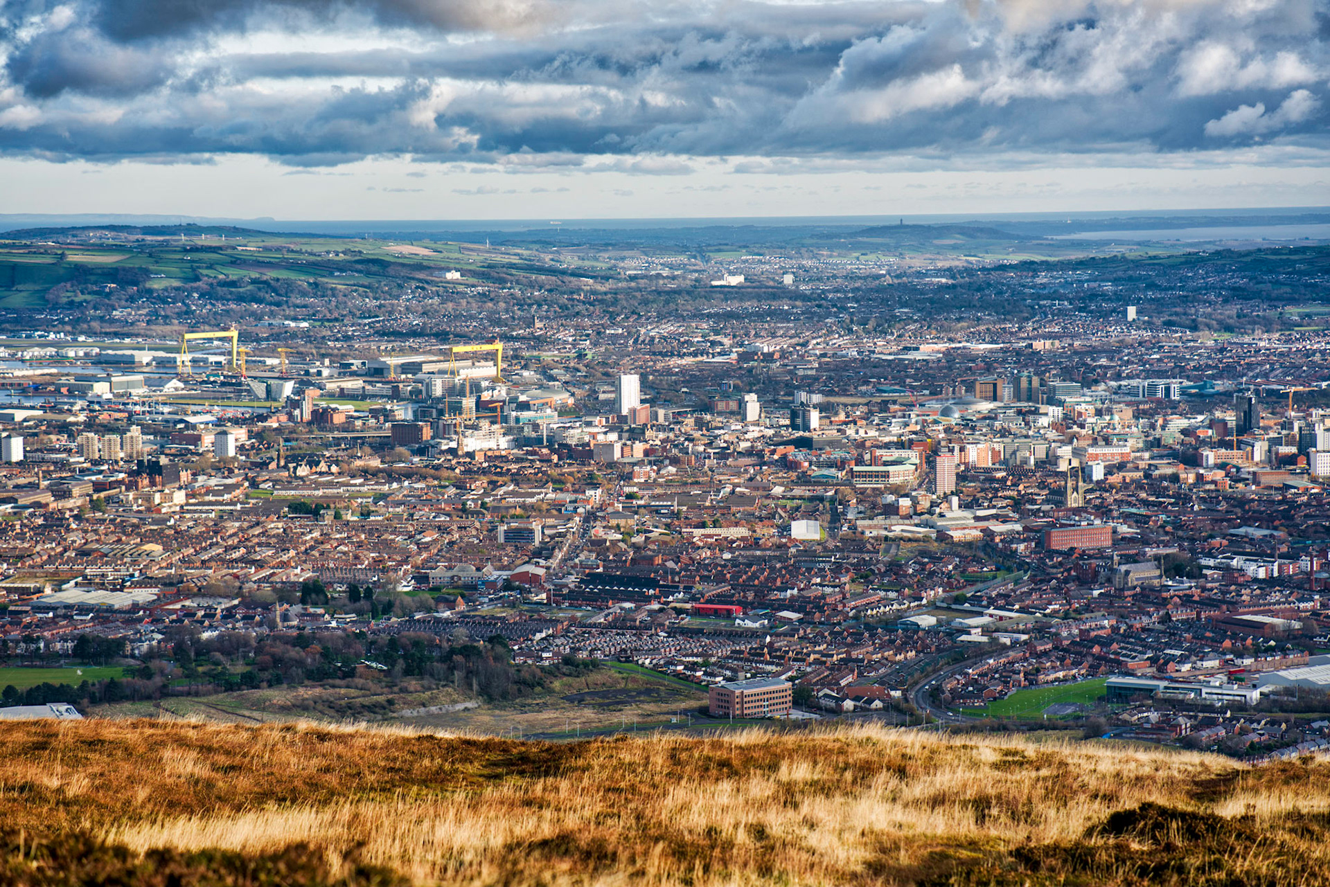 Great walk today up Divis Mountain - just me and Frankie :)
