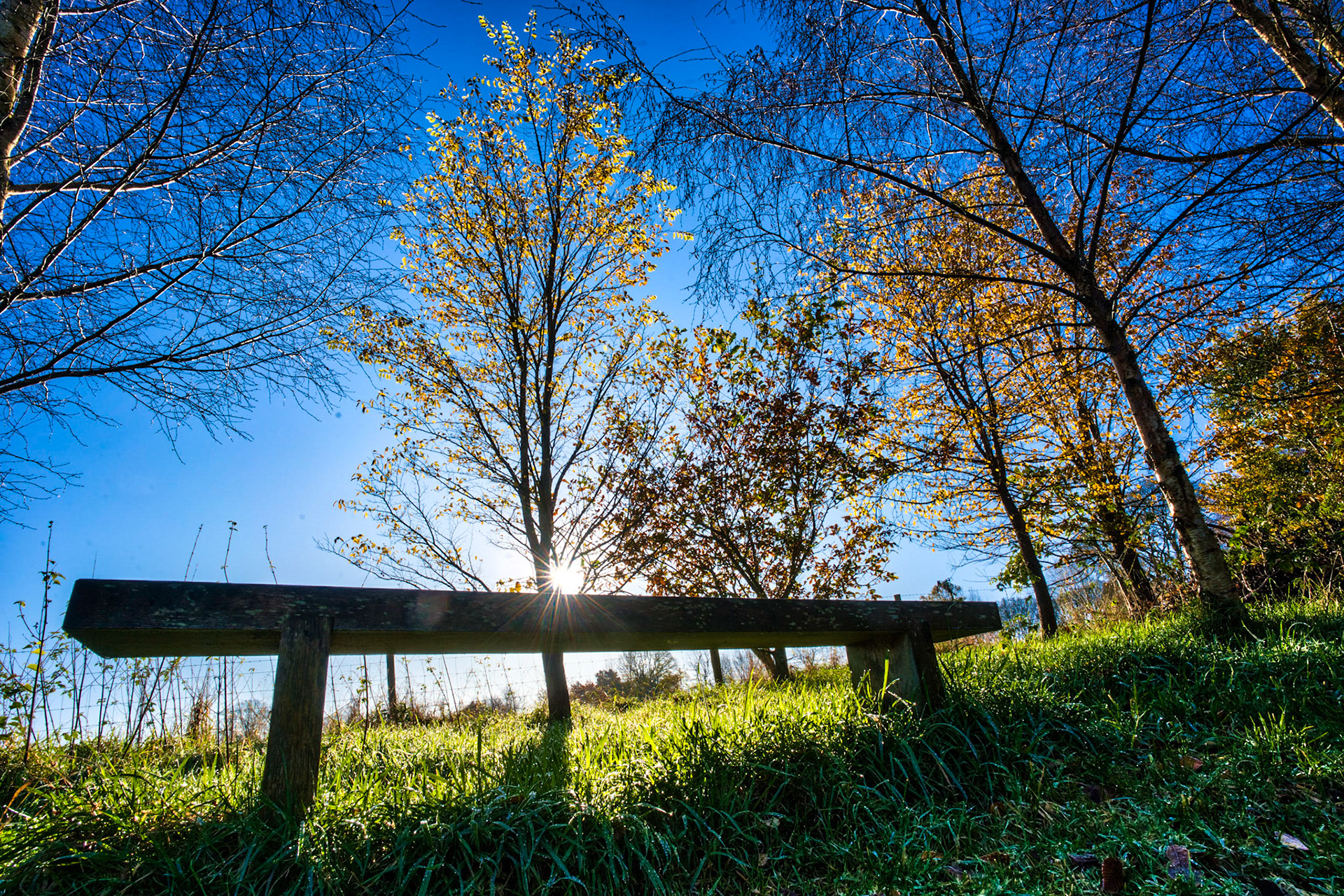 Beautiful sunshine today on a very cold and frosty morning
