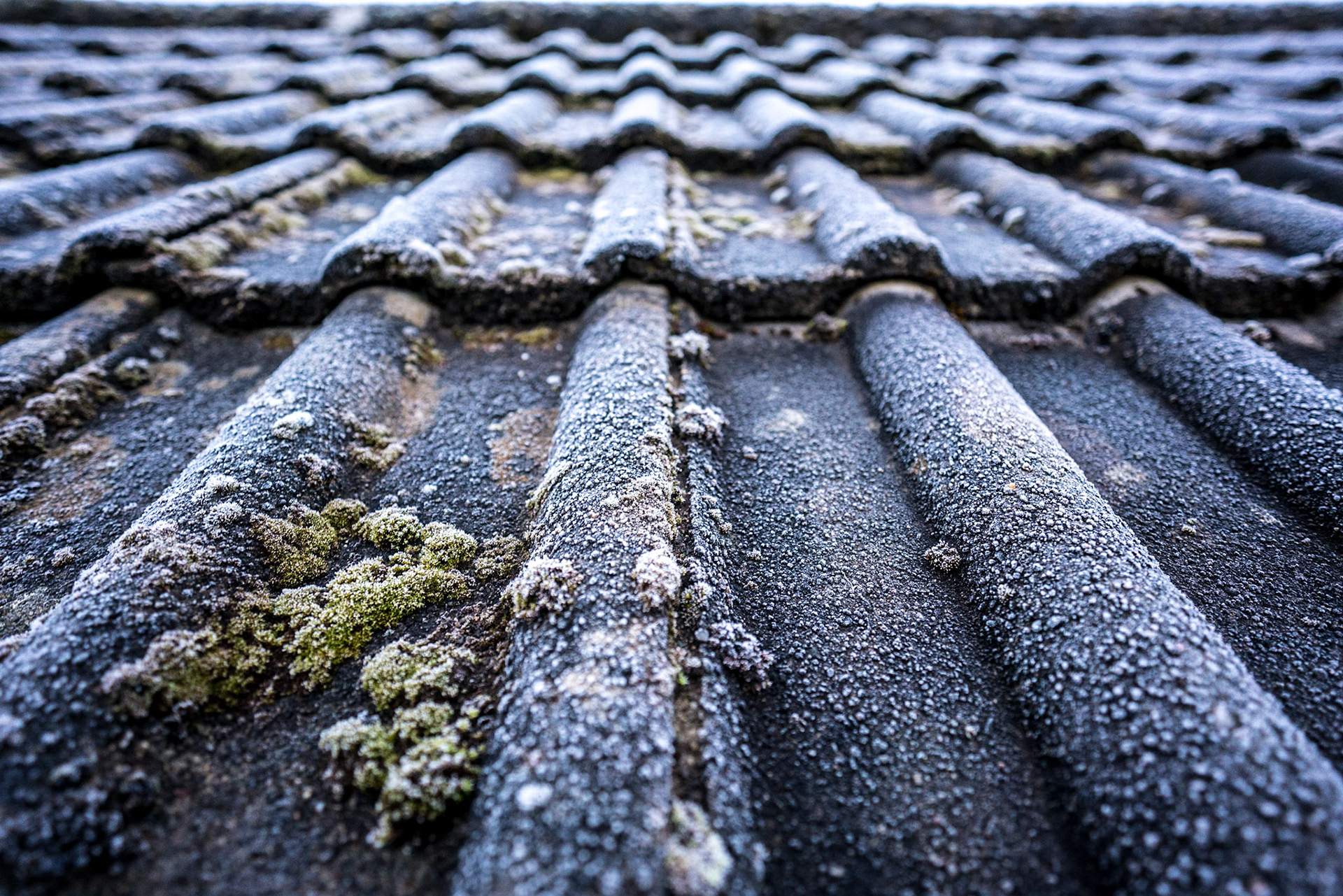 First frost of the Autumn