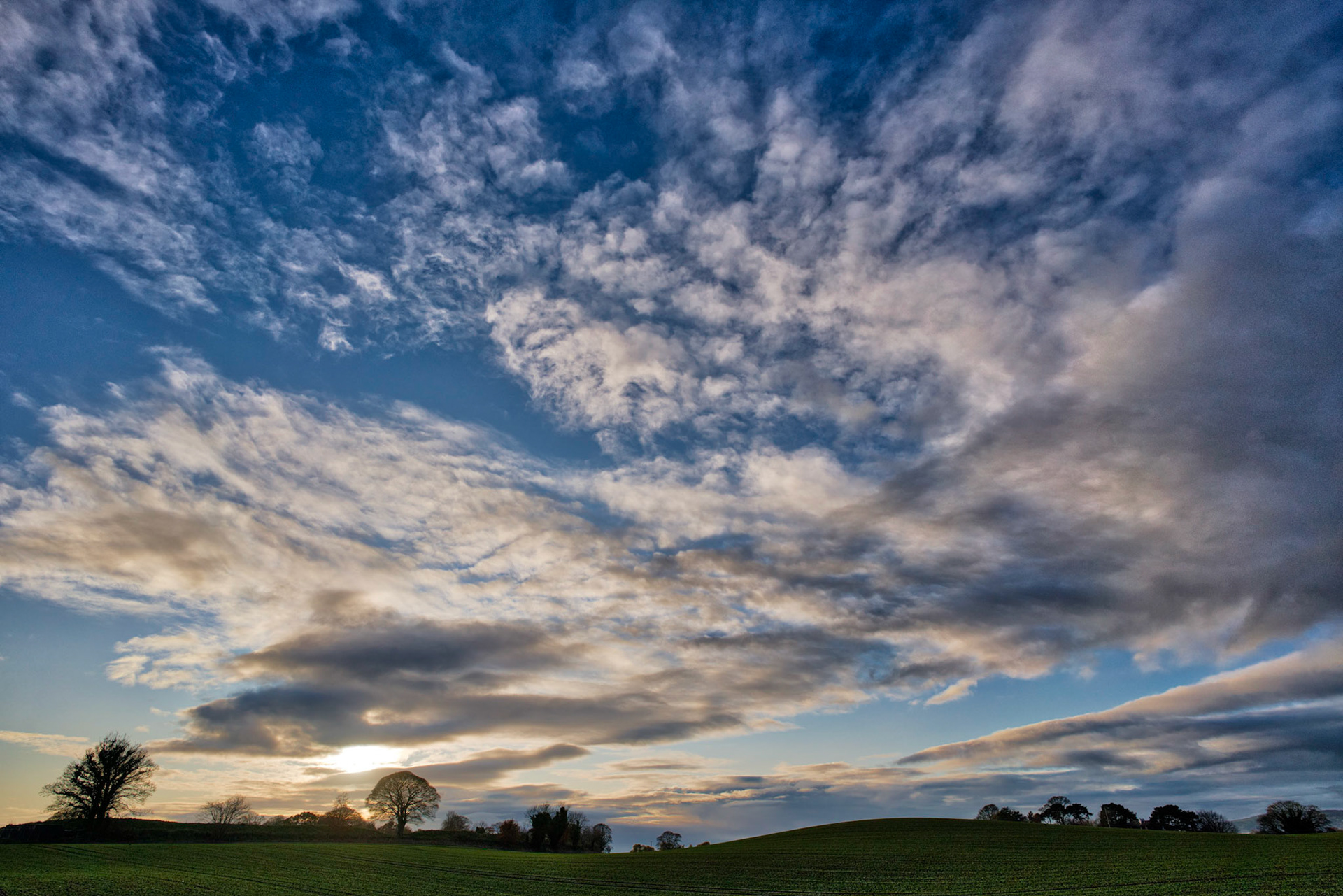 Great sky on our walk today