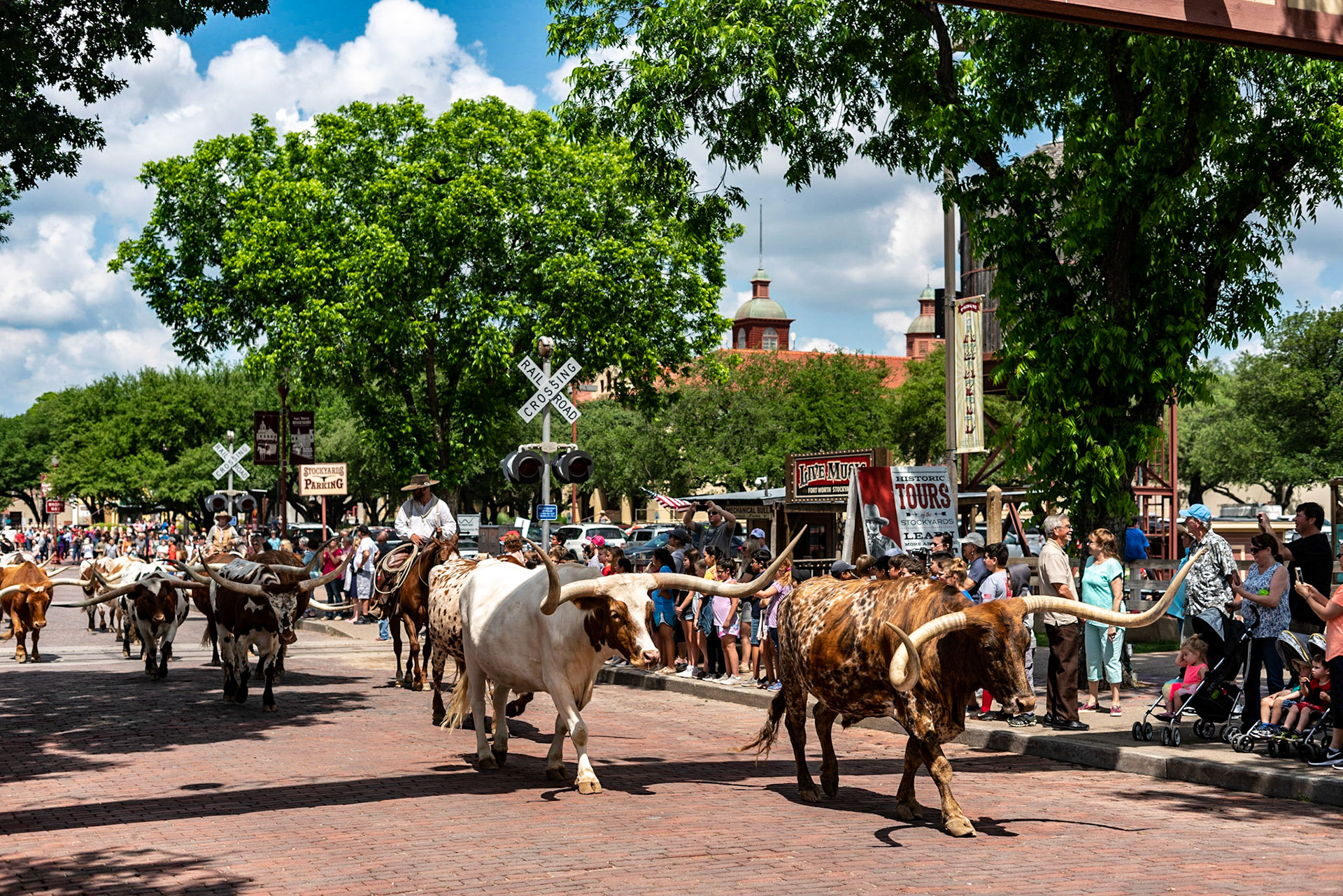 A day at the Stockyards in Fort Worth, Texas