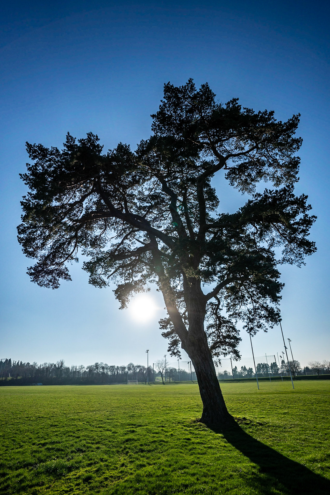 Yet another stunning February day. Another record set for the UK. Not quite a warm as 20C here, but warm none the less!!