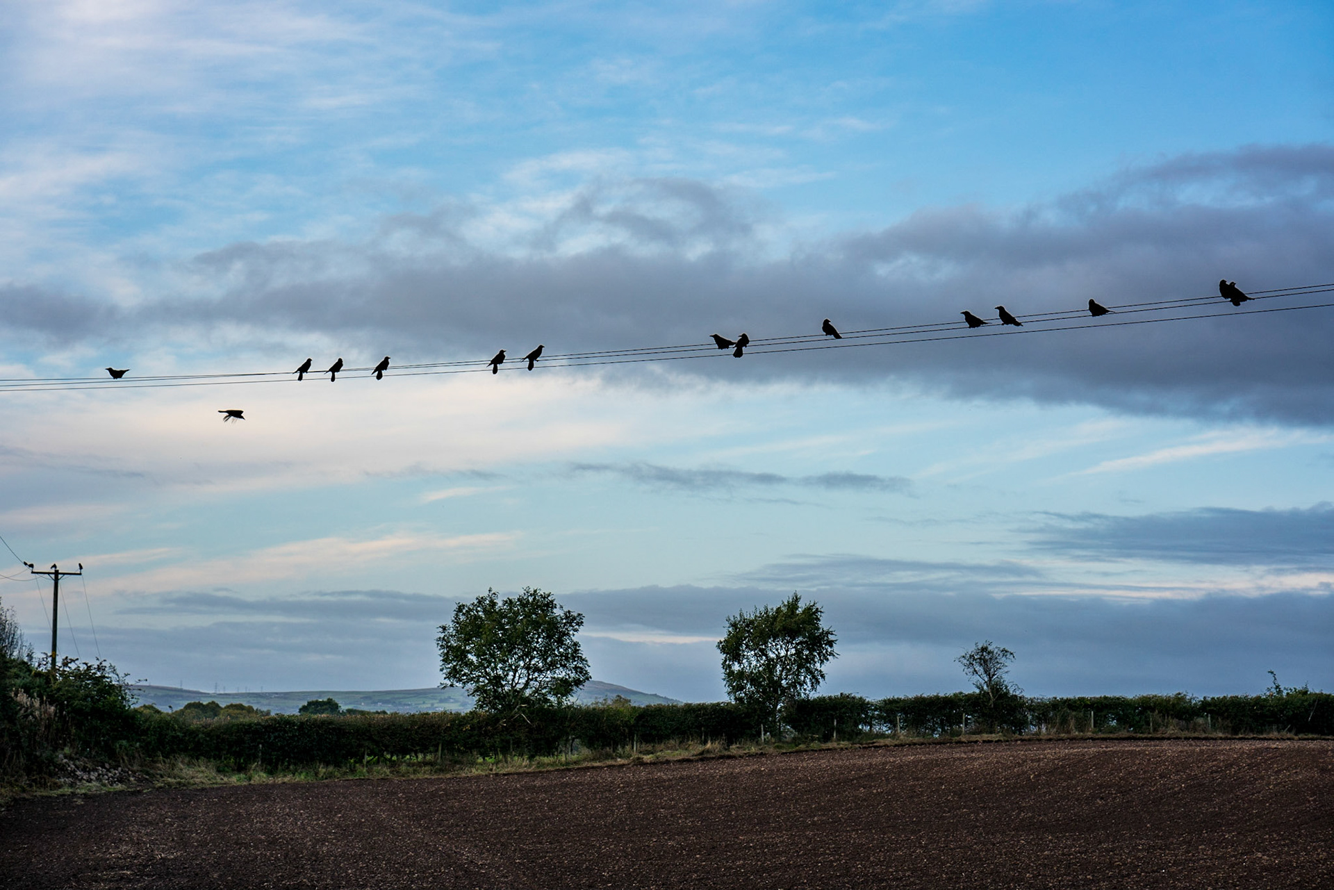 Hanging out with the girls