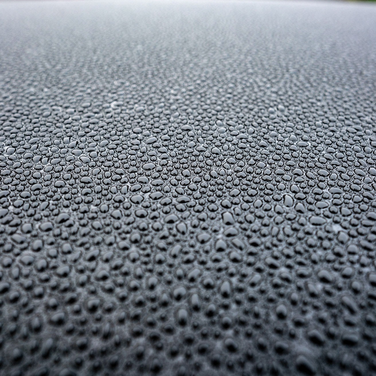 Waxed my car yesterday. Love the beading of the rain on the roof