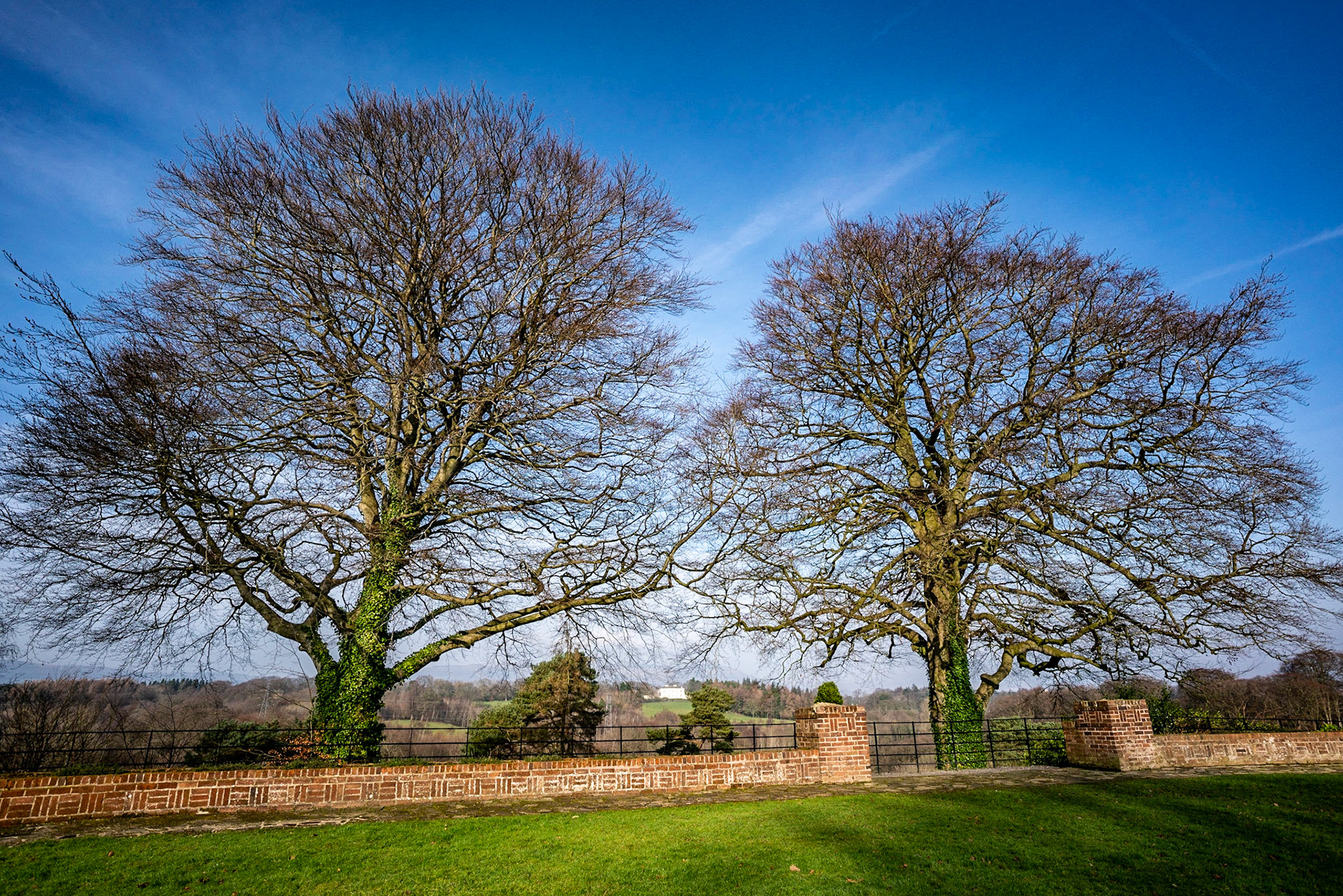 Another beautiful day in Minnowburn - cannot believe the weather this year compared to last year.