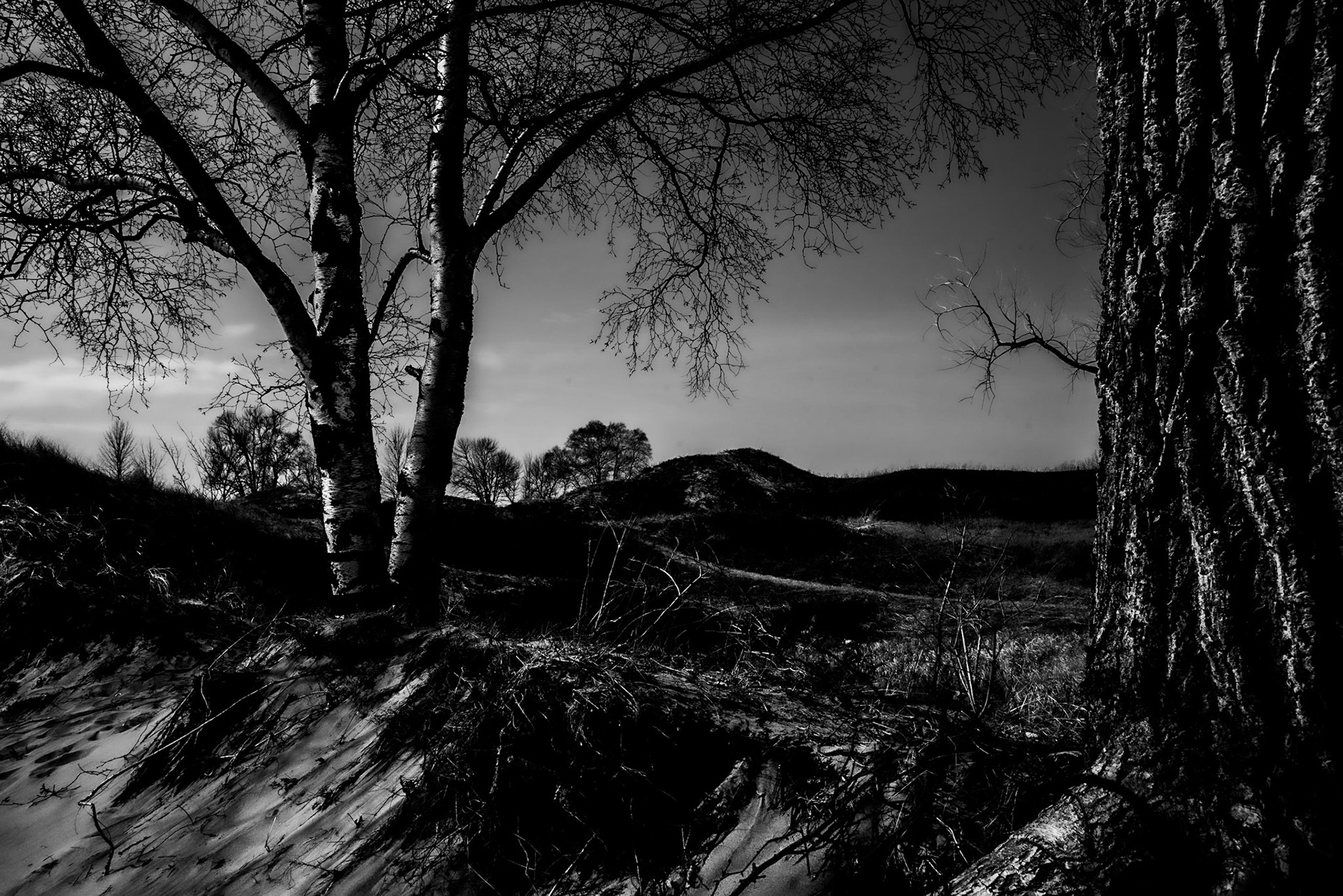 Kohler Andrea SP, Sheboygan WI 2021