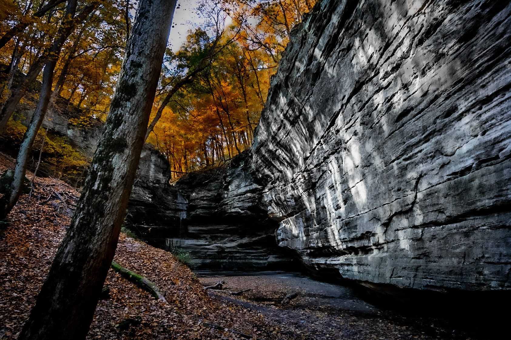 Ottawa Canyon, Starved Rock SP, Utica Illinois