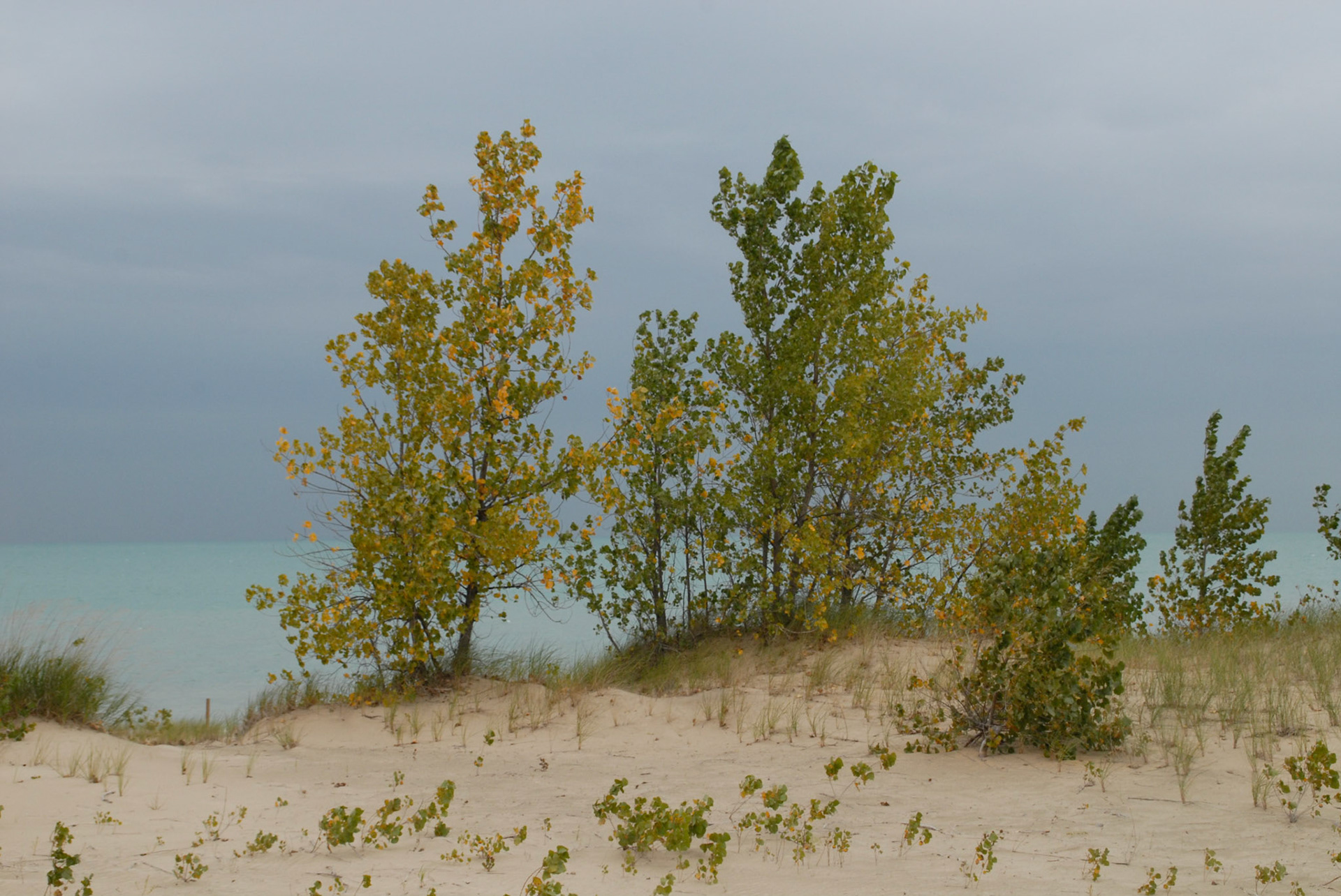 The Lake from Mt Baldy - Indiana Nat's Lakeshore - Michigan City IN