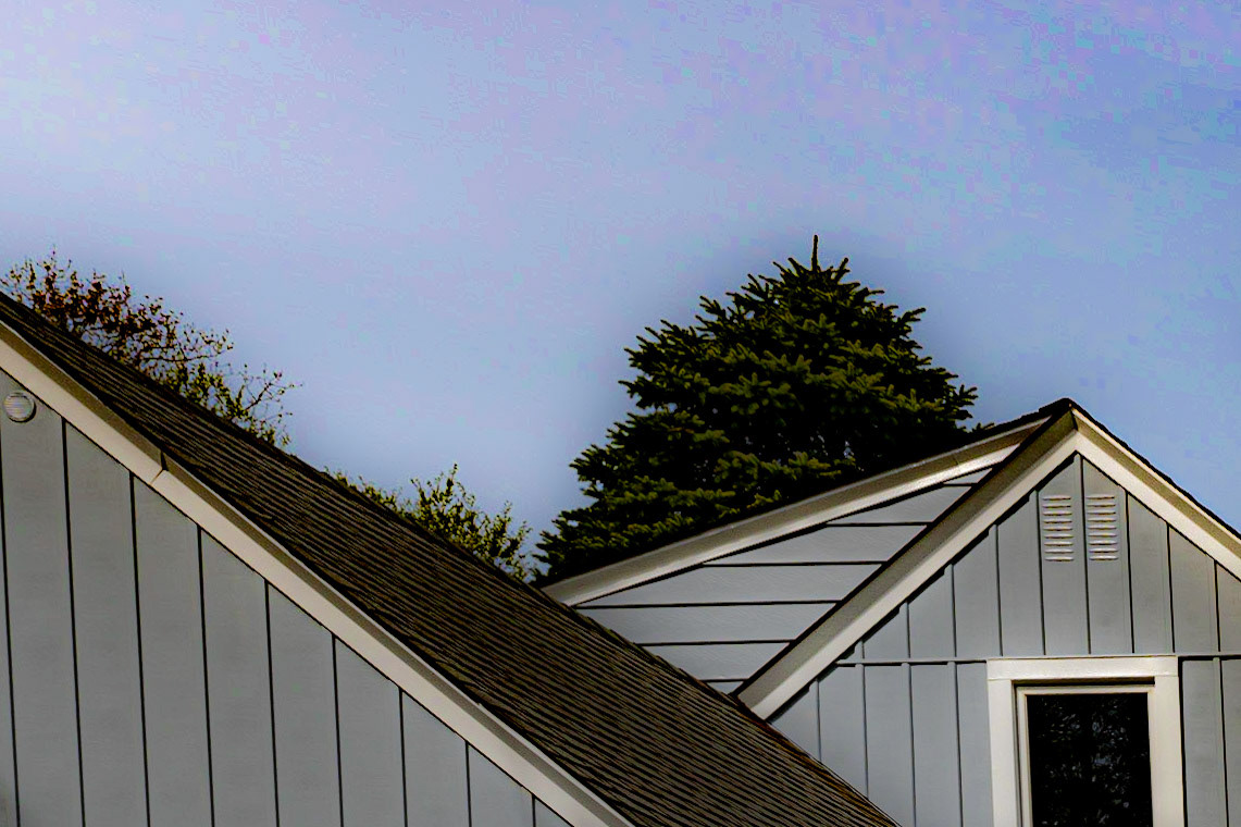 Windows - Wauwatosa WI - 2020