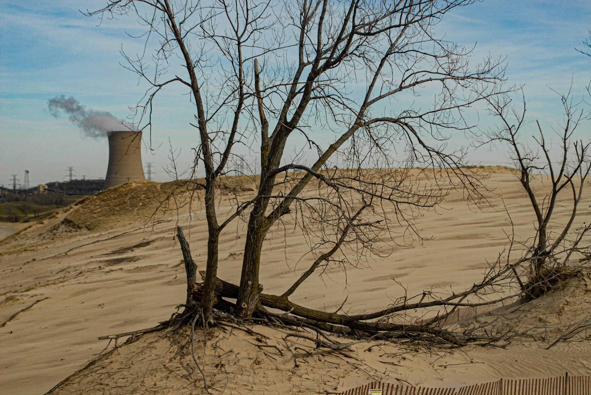 View from Mt Baldy - Indiana Nat'l Lake Shore,  November 2011