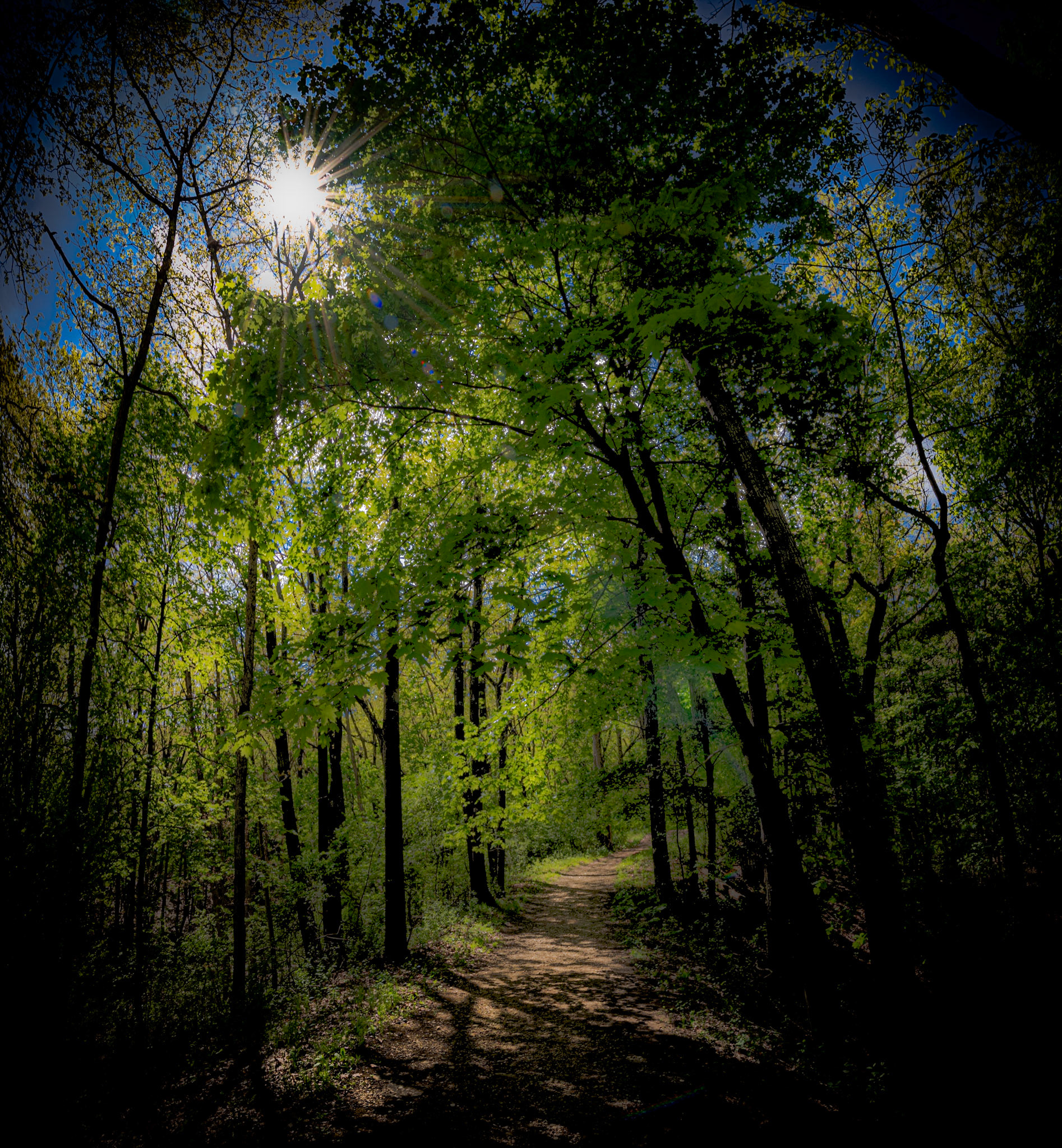 Lapham Peak SP - Delafield WI, 2021