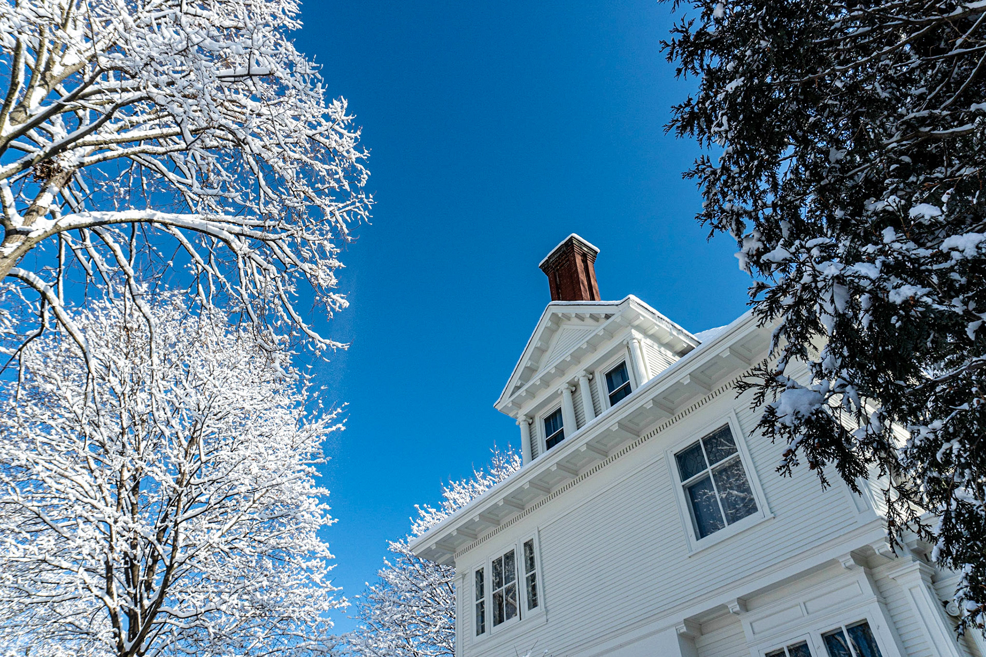 Windows - Wauwatosa WI - 2020