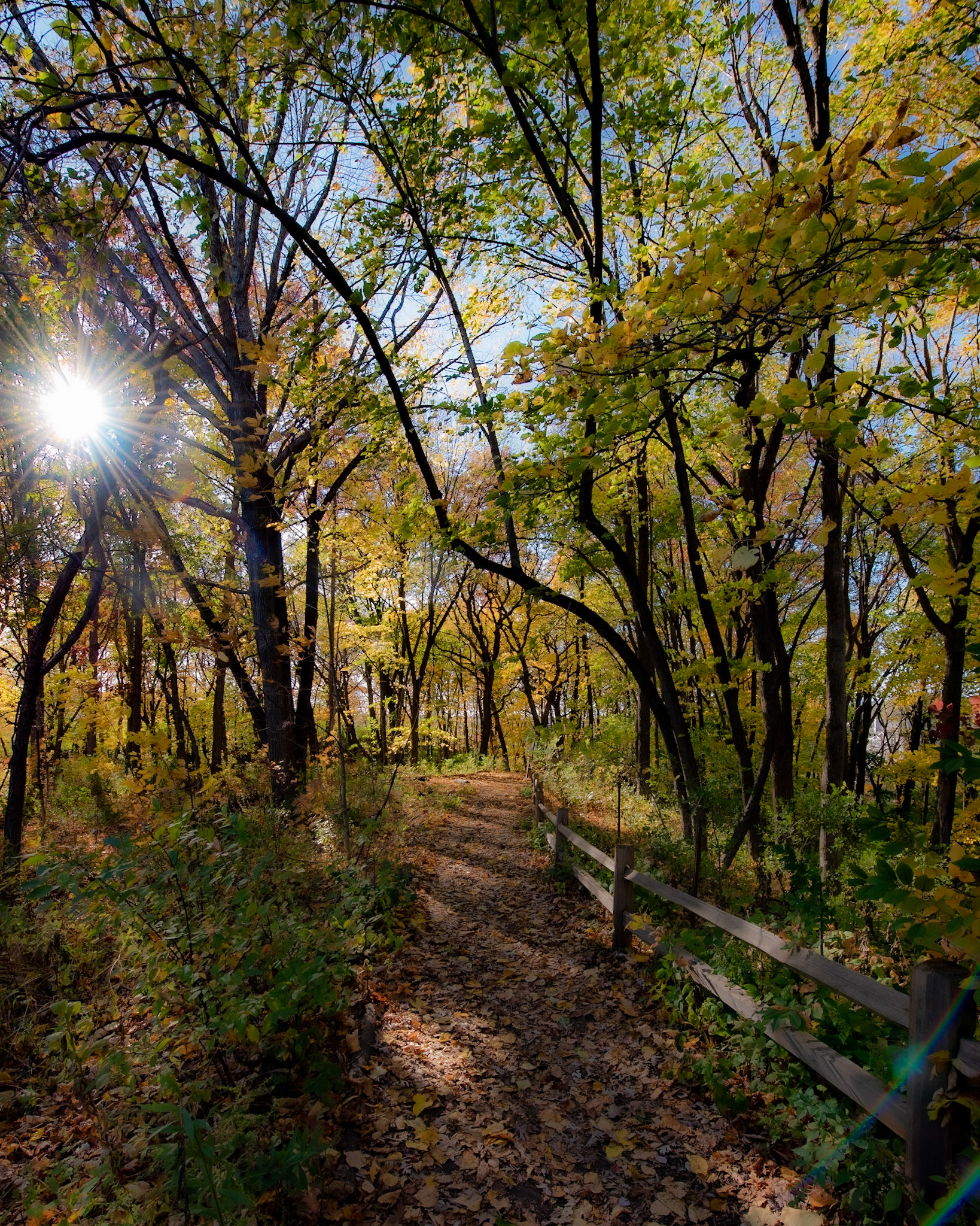 Hawthorn Glenn - Milwaukee WI Fall 2020