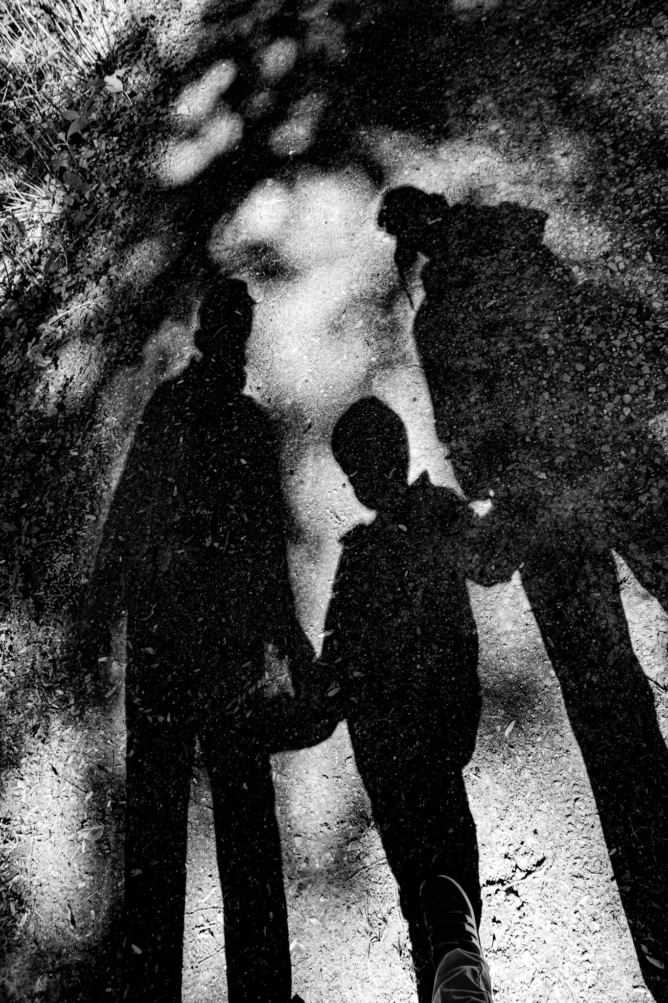 Busia, Malcolm and Me September 2020