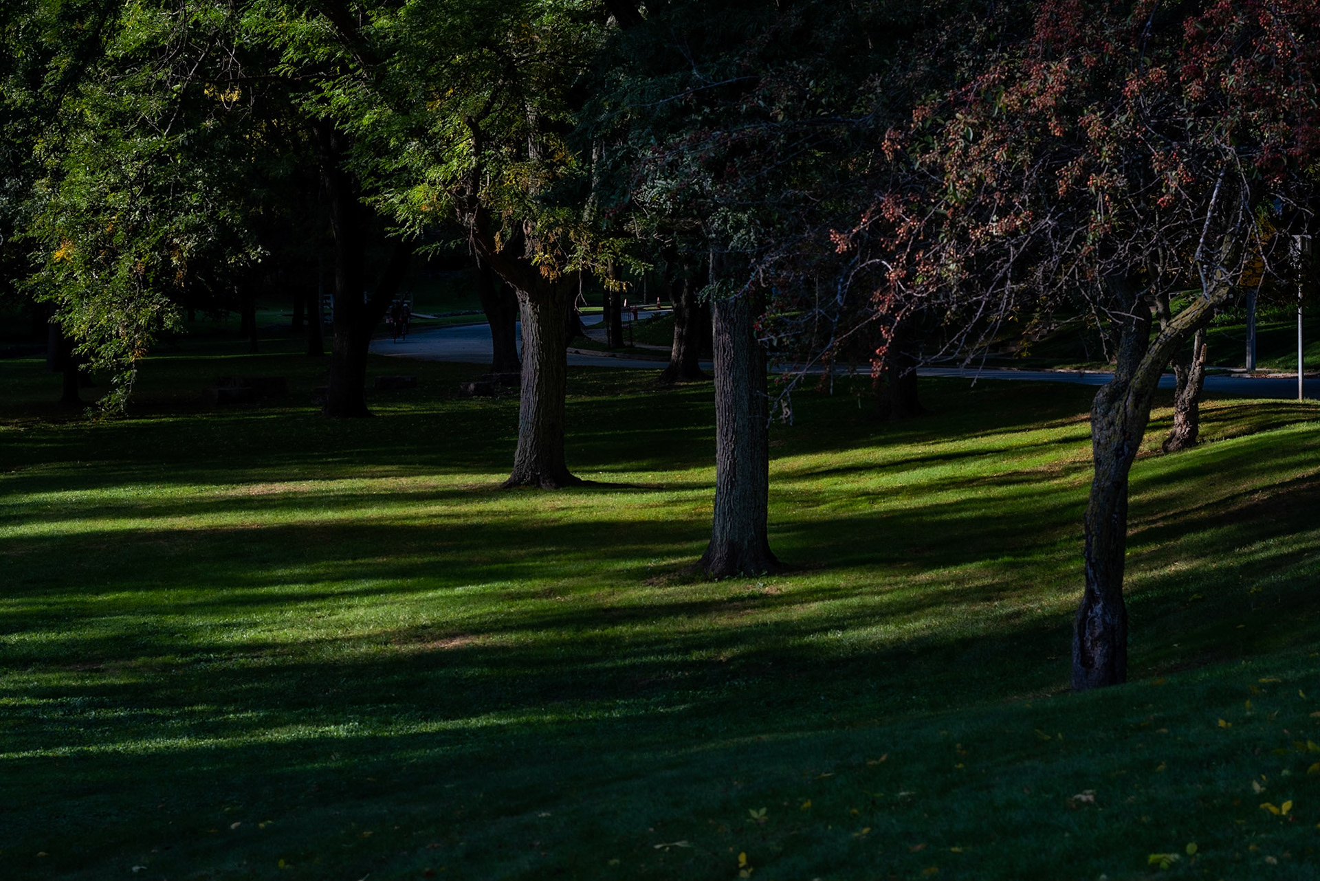 Milwaukee St, Wauwatosa WI 2020