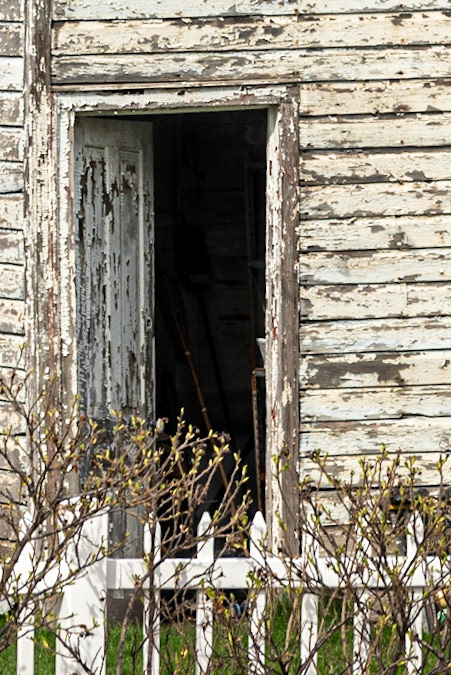 Neighbors garage - Wauwatosa WI, 2020