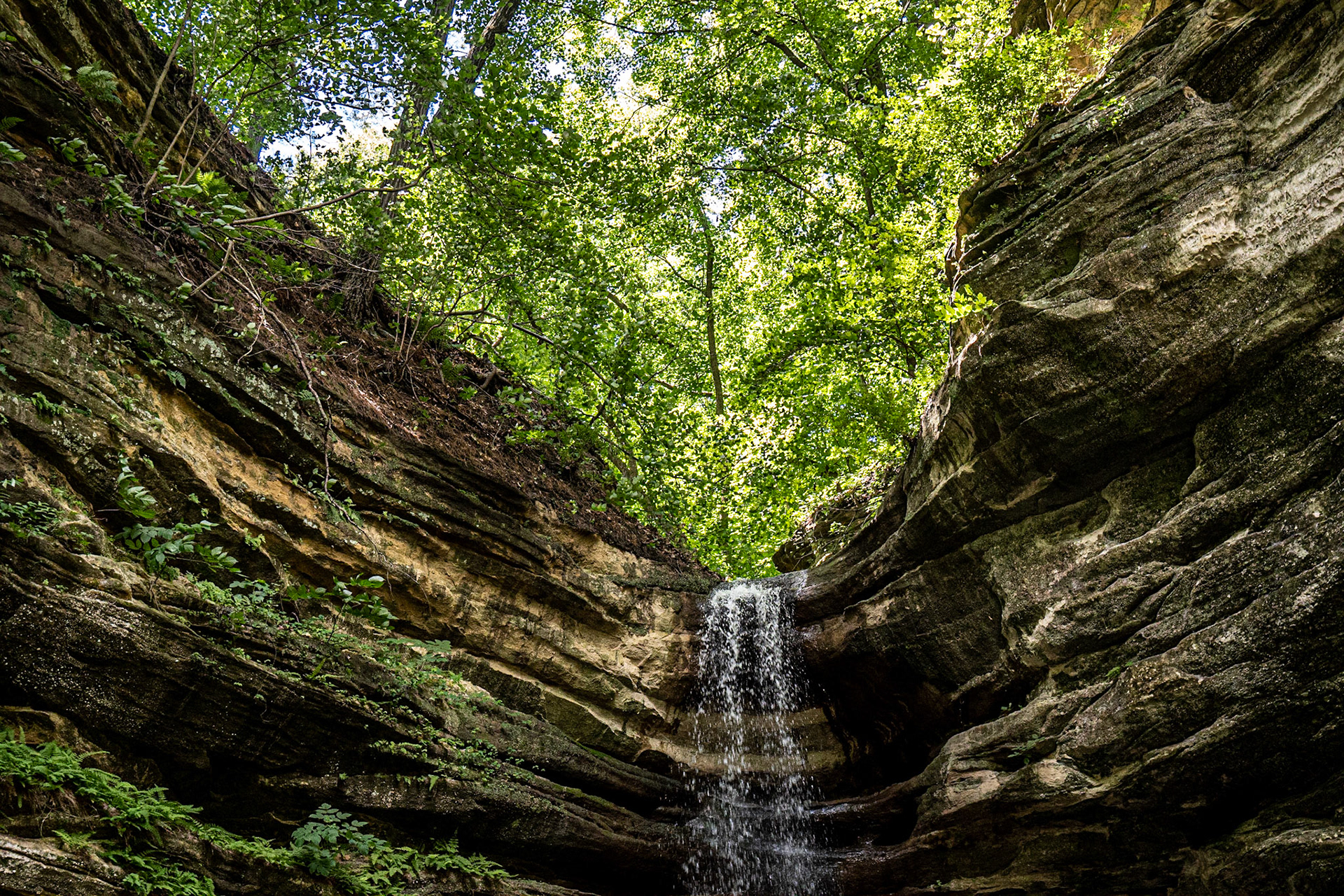 Aurora Canyon Starved Rock SP - Utica IL August 2020