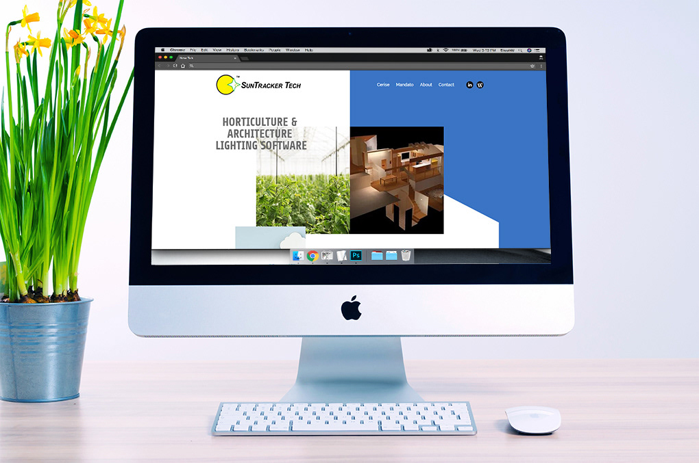 split design in wordpress