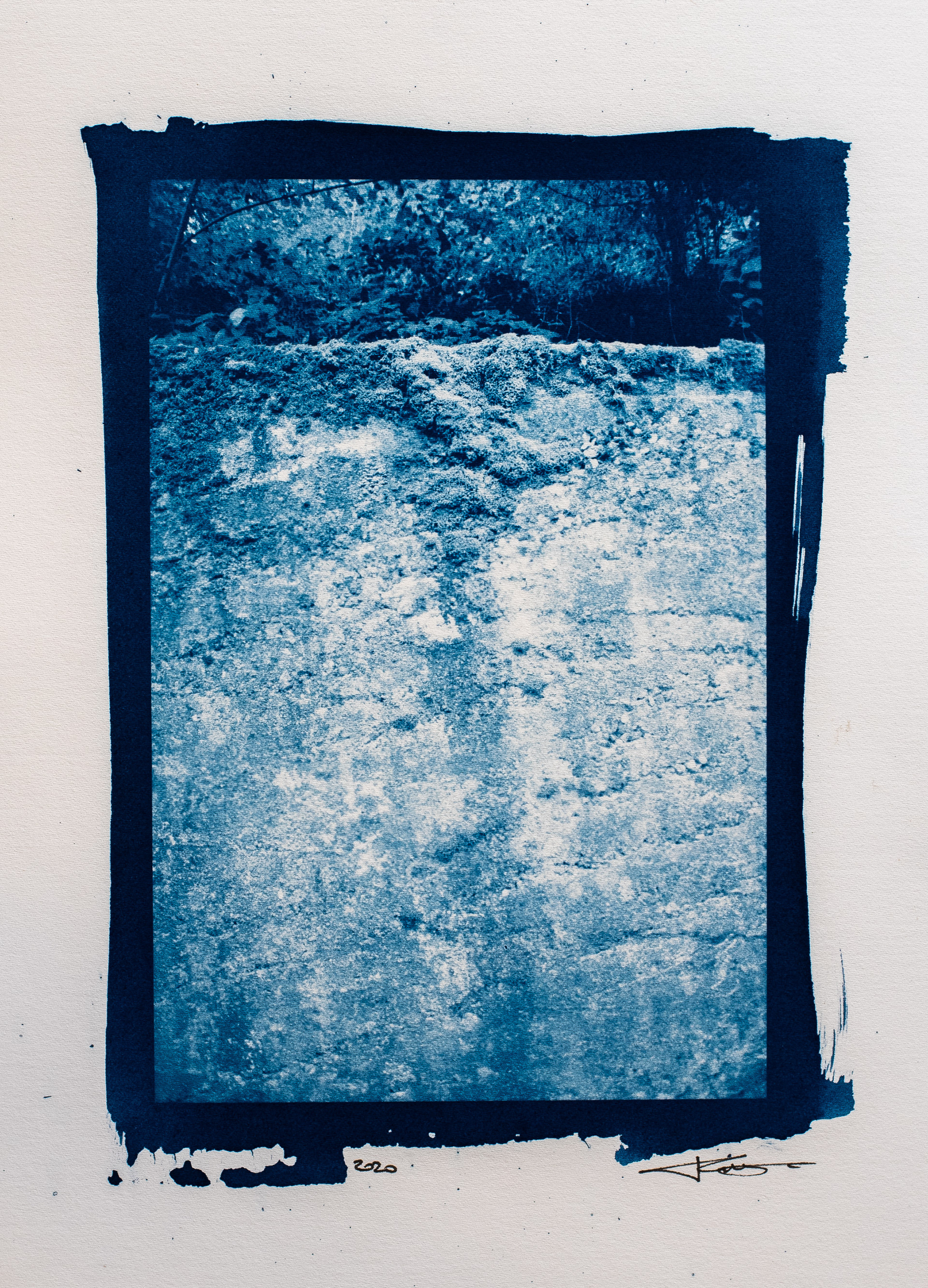 Presenze - Cyanotype
