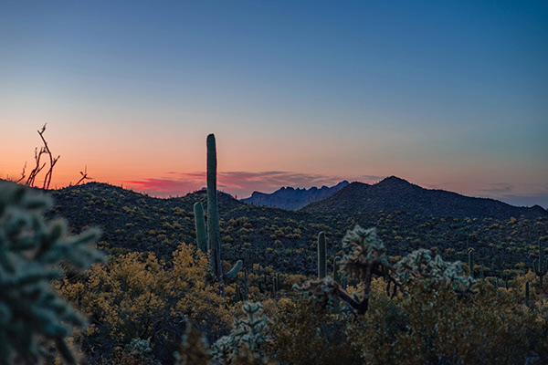 RAM Photo Graphics - Wallpapers