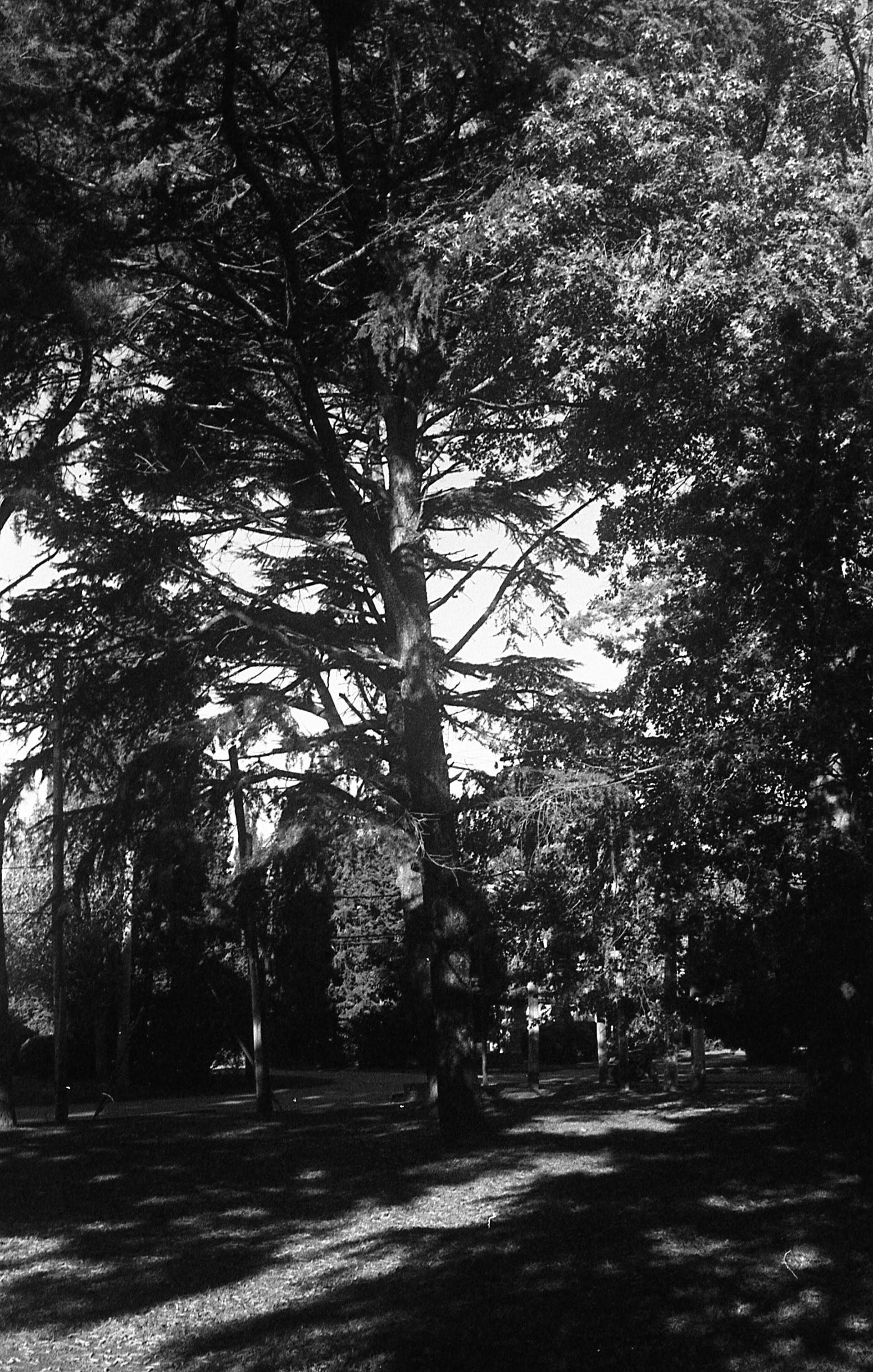 Ilford Delta 400 - Buenos Aires, Argentina