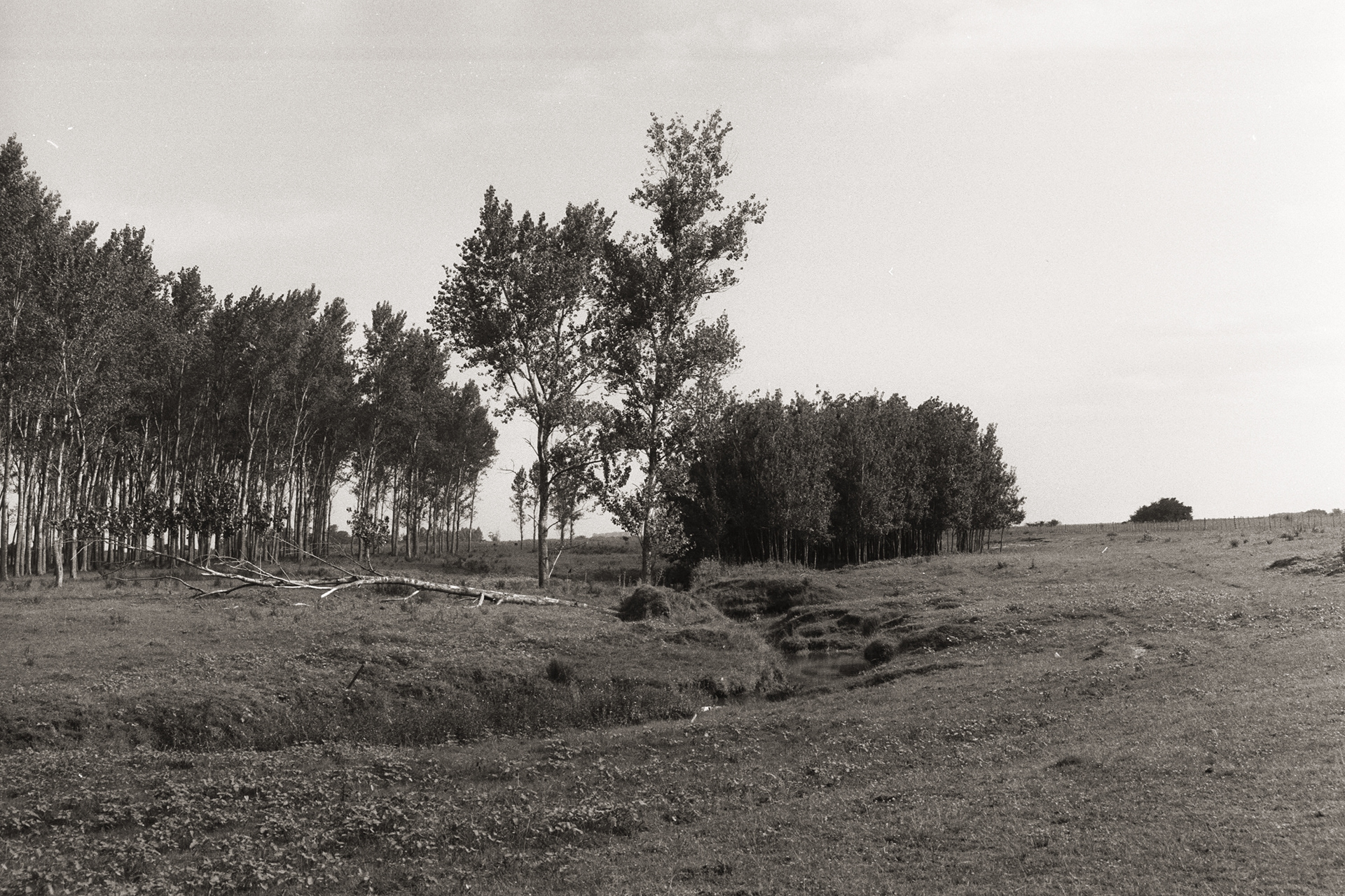 Ilford FP4 Plus - Buenos Aires, Argentina