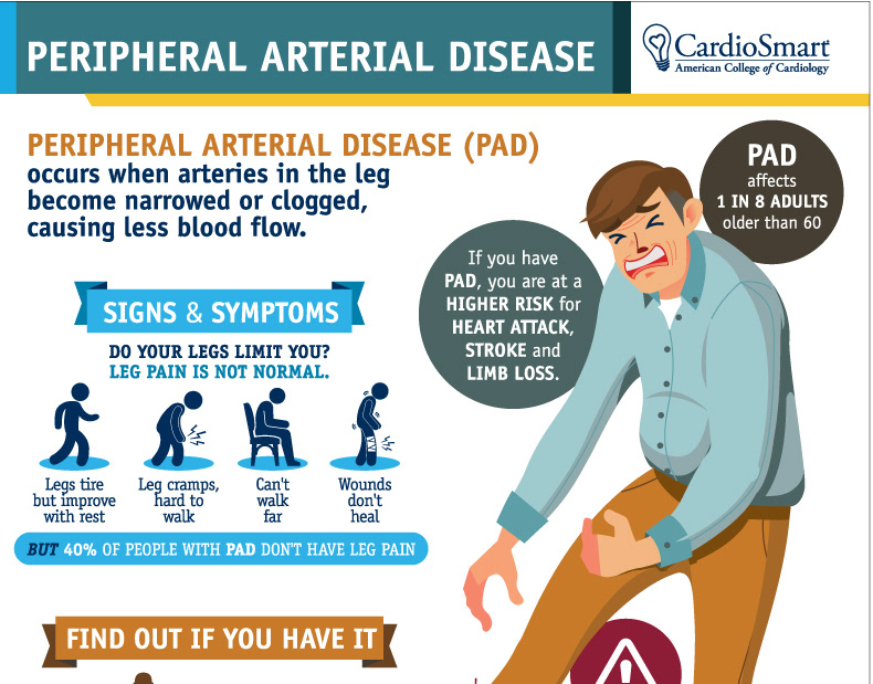 Jason Pearlman Illustration - CardioSmart Infographics