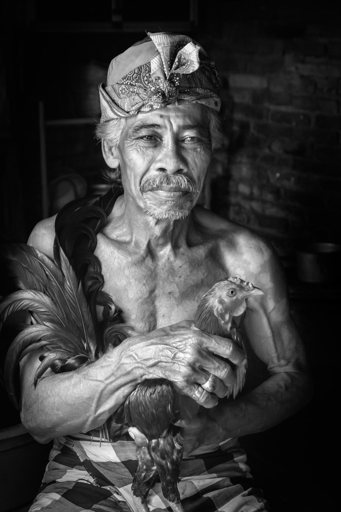 Rooster Man