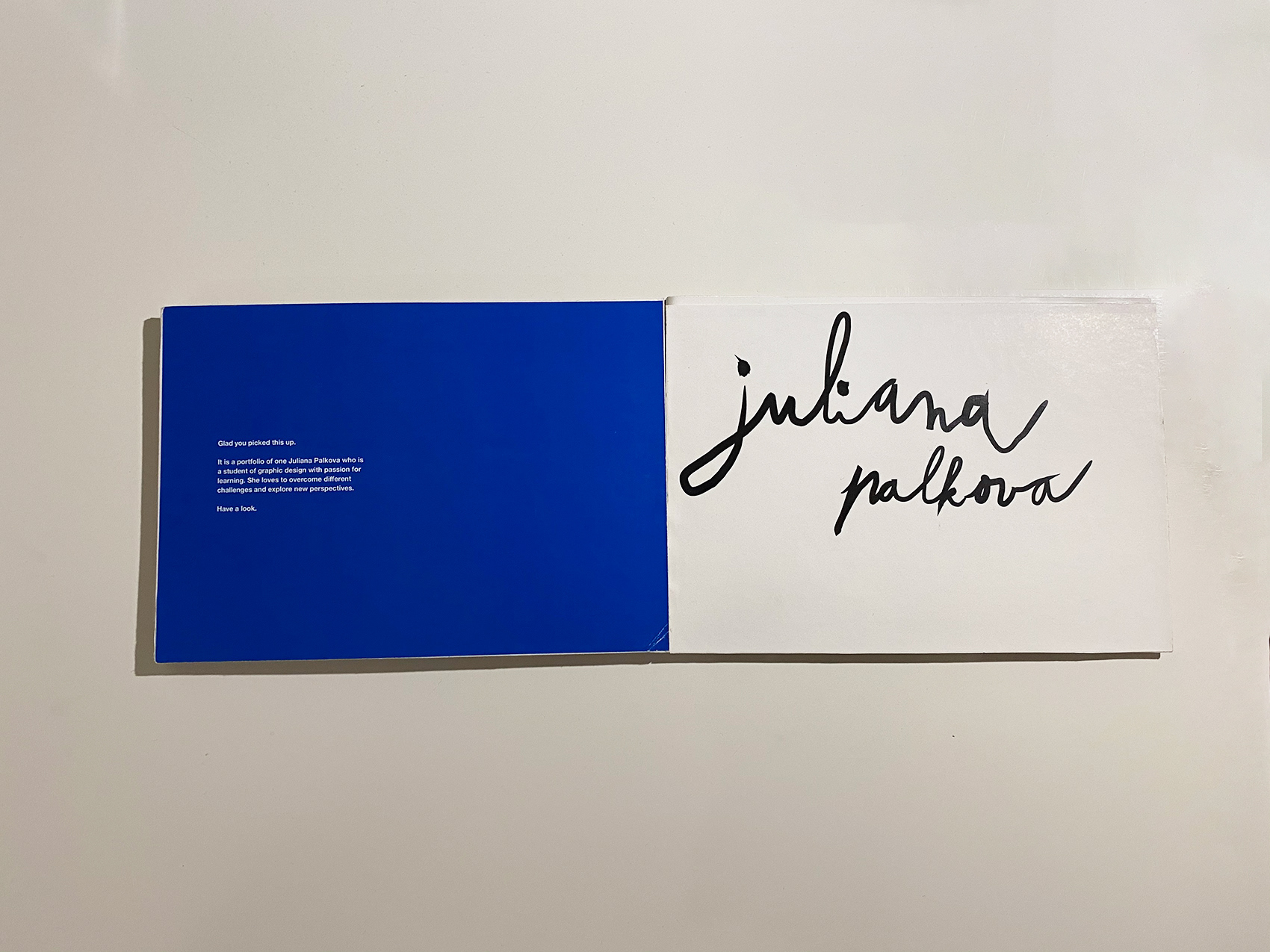Juliana Palkova Printed Portfolio