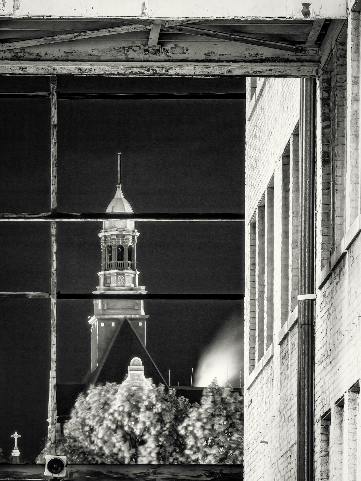 City Hall framed in black and white