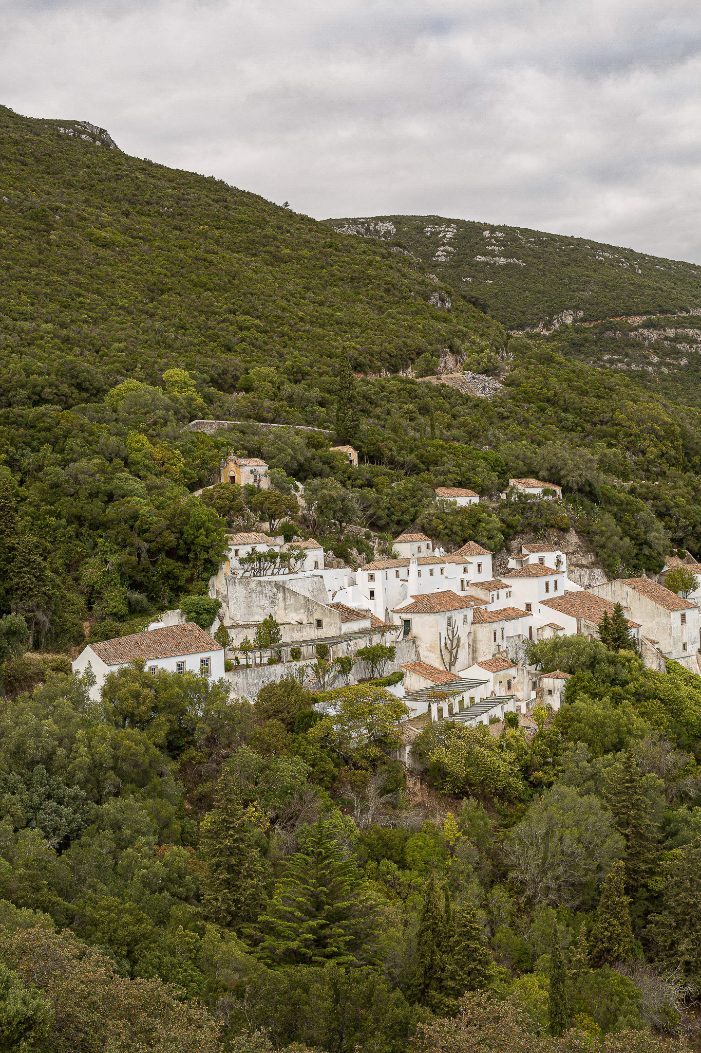 Portugal food and wine tour