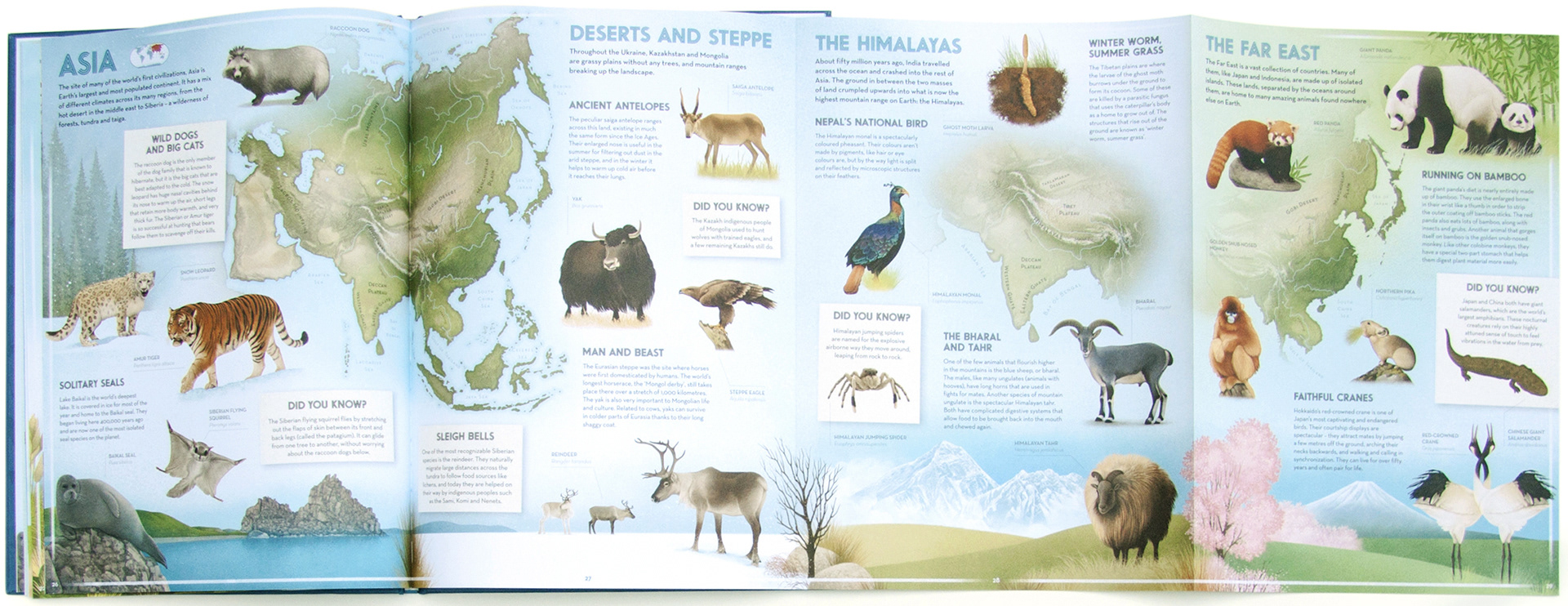 Four page gatefold of Asia. Illustrated map with various animals in their natural habitat. Photo of The Amazing Animal Atlas.
