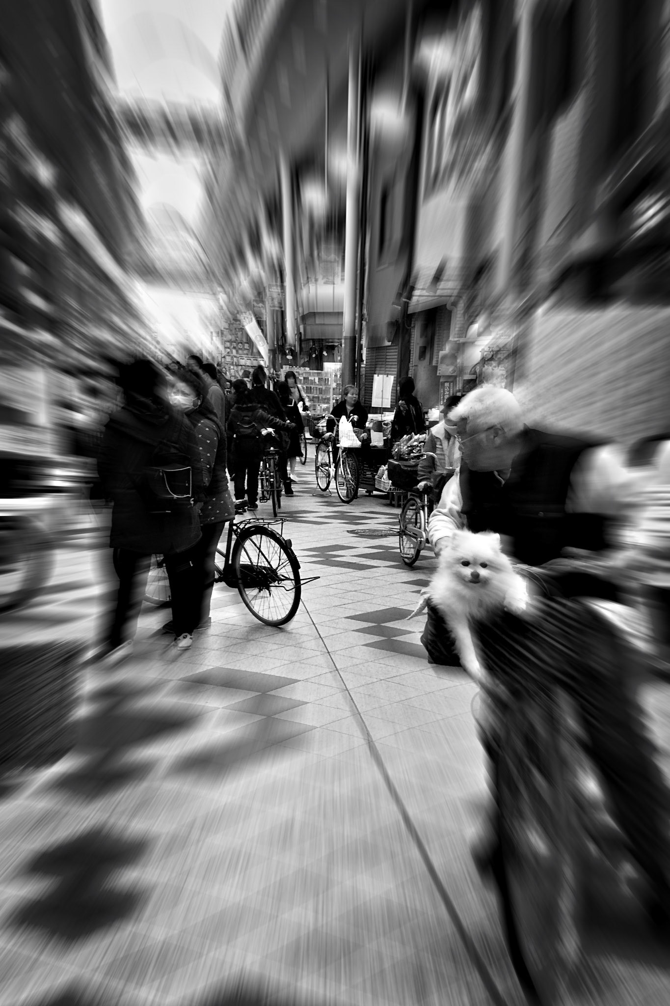 ©ArtscapeGallery.com. All rights reserved.