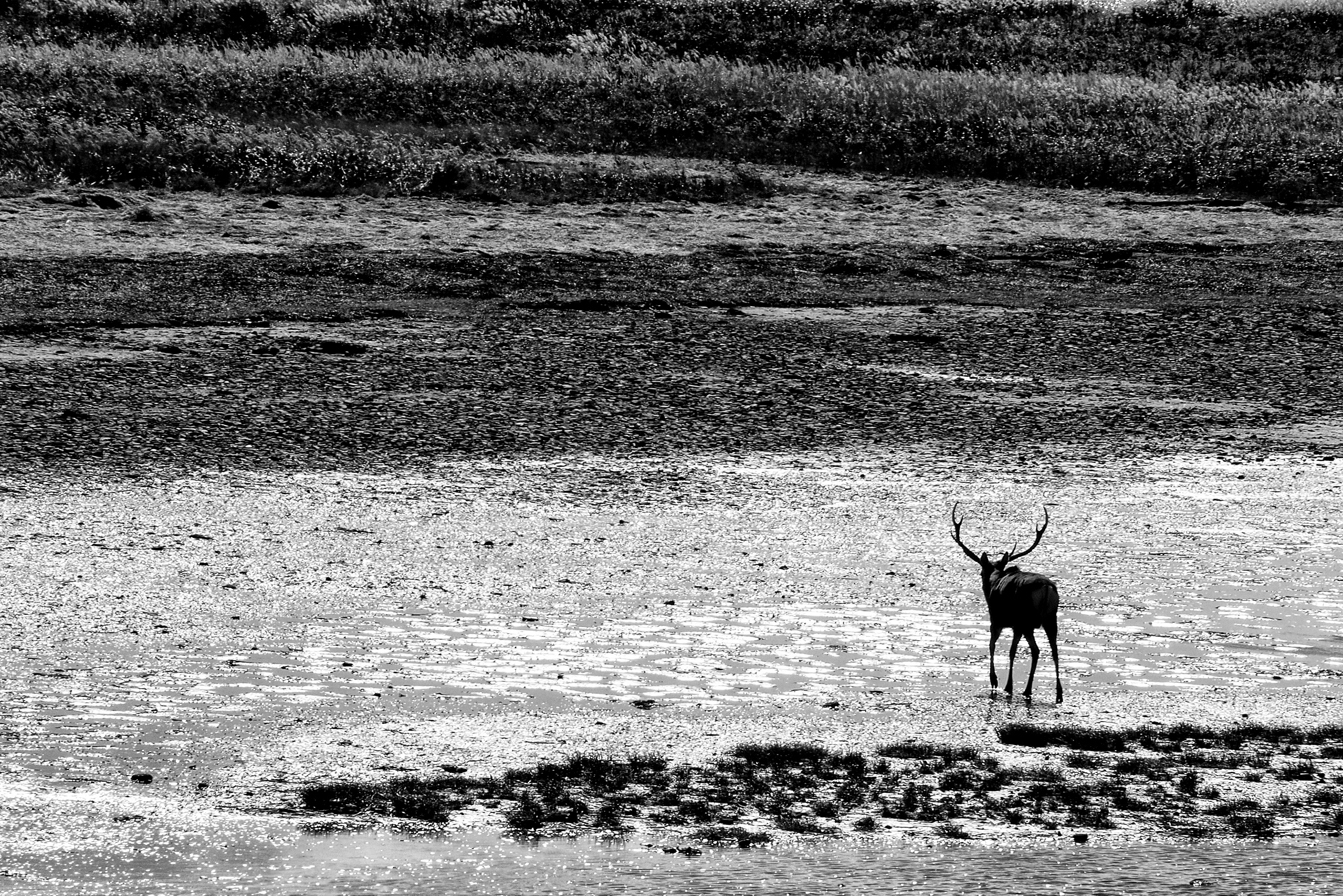 Nature Center, Notsuke Peninsula